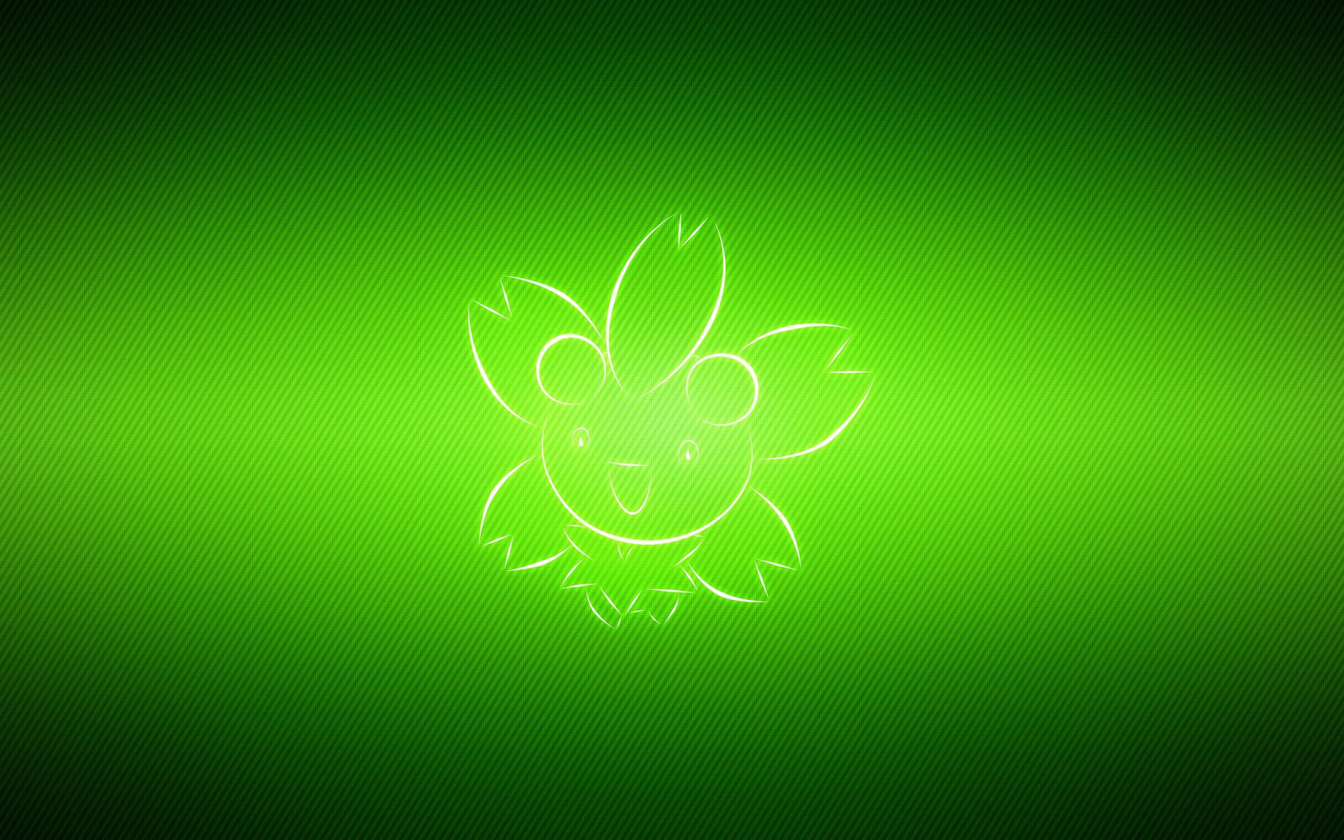 2560X1600 Green Wallpaper and Background