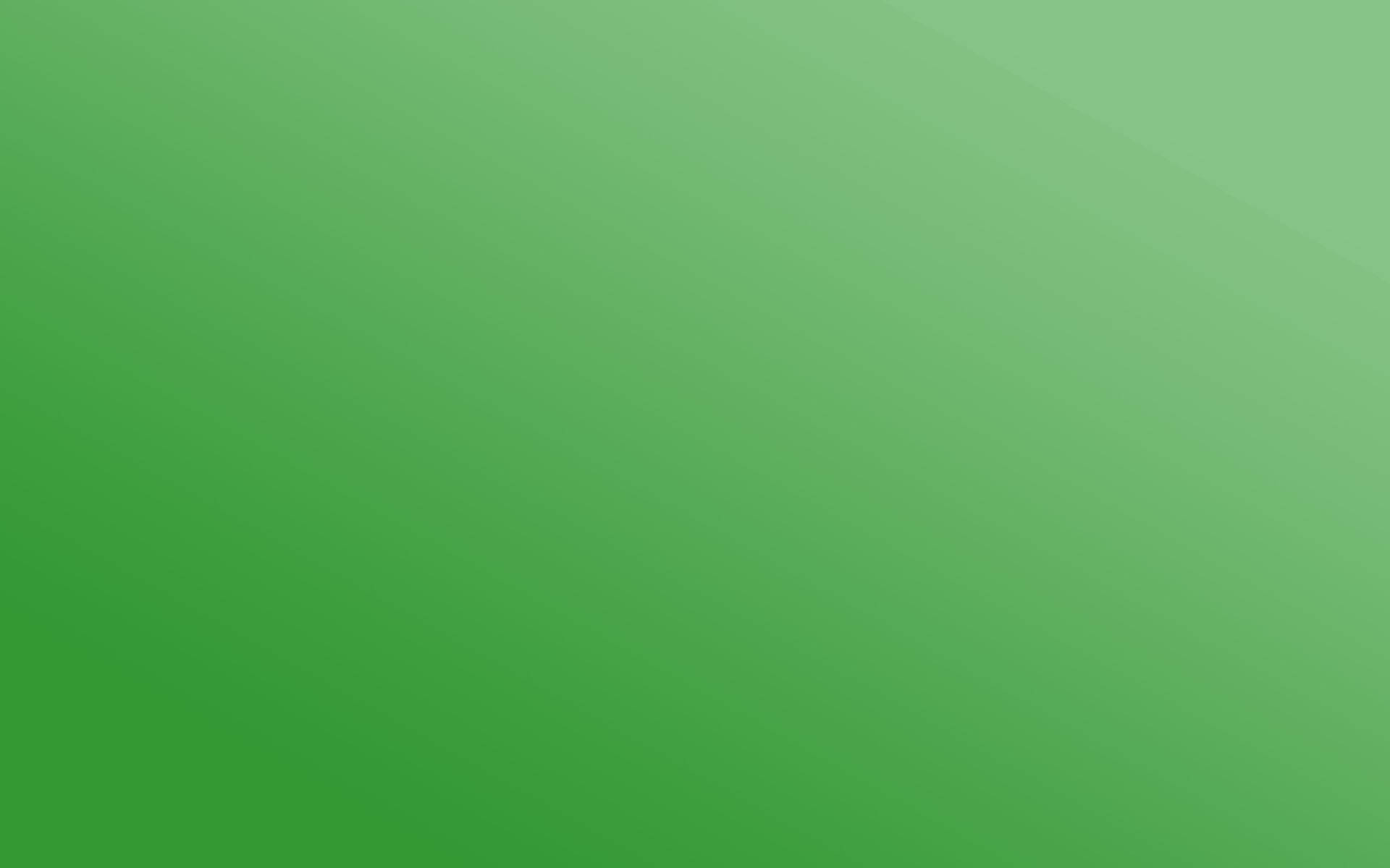 Green 2560X1600 Wallpaper and Background Image