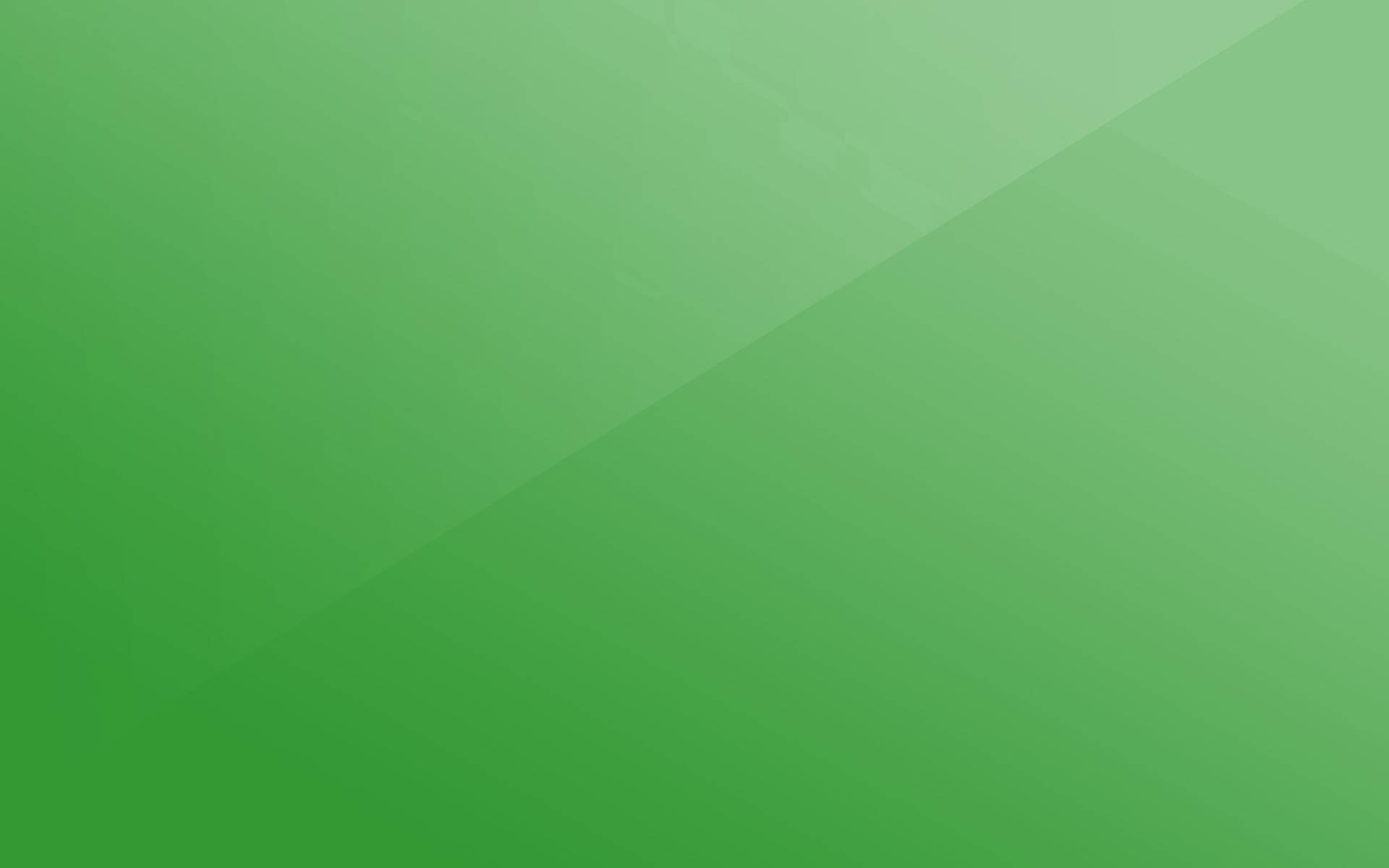 Green 2560X1600 Wallpaper and Background Image
