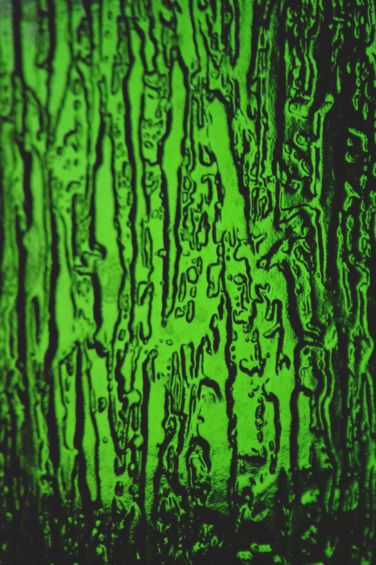 3000X4496 Green Wallpaper and Background