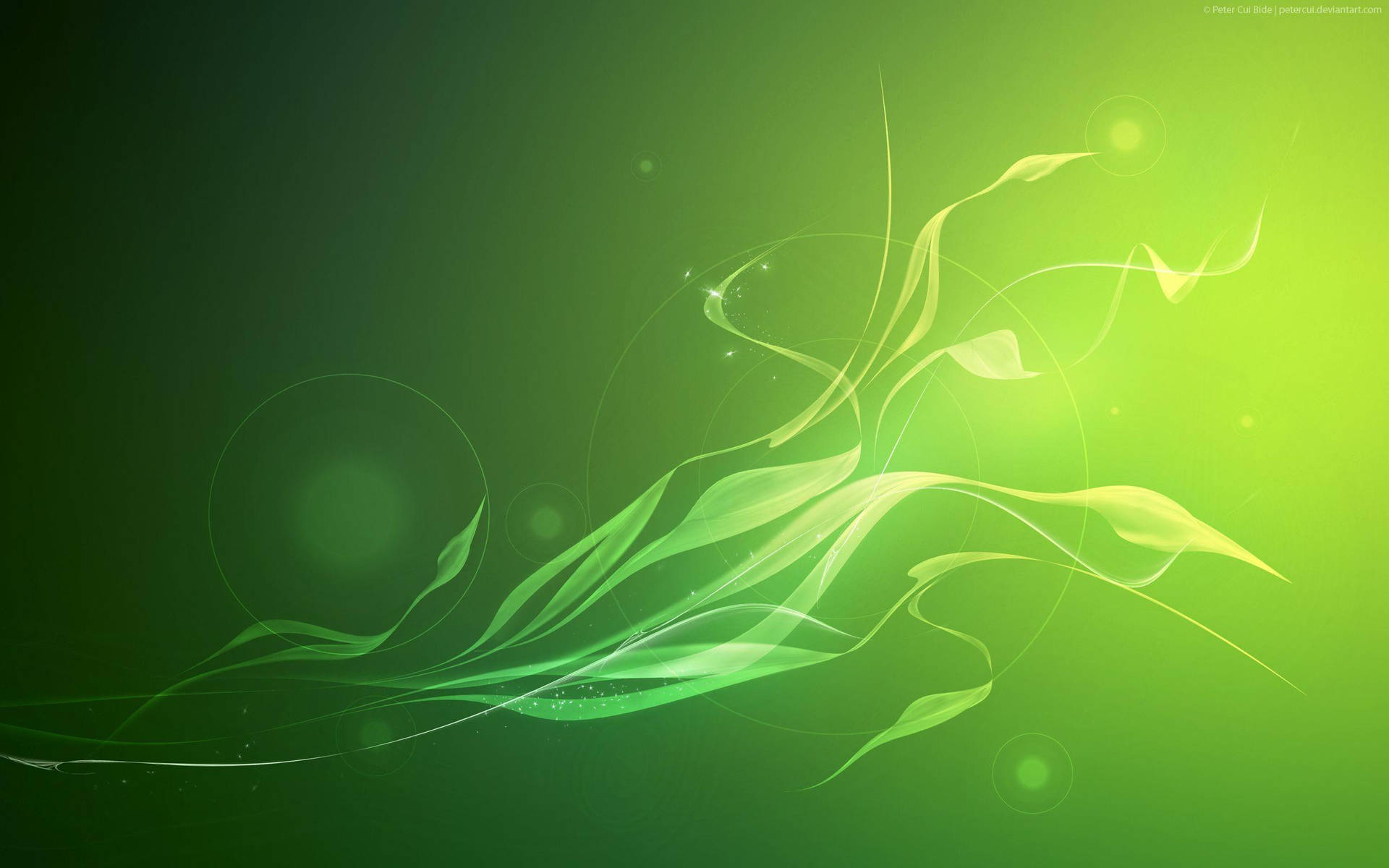 Green Abstract 2560X1600 Wallpaper and Background Image