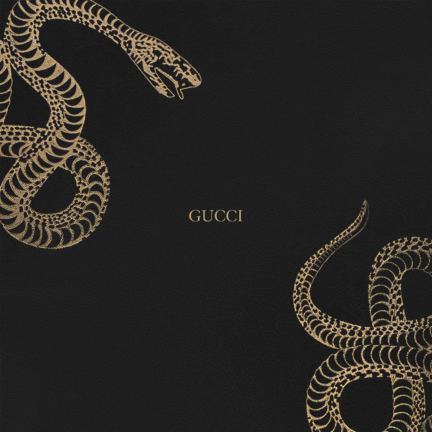 1500X1500 Gucci Wallpaper and Background