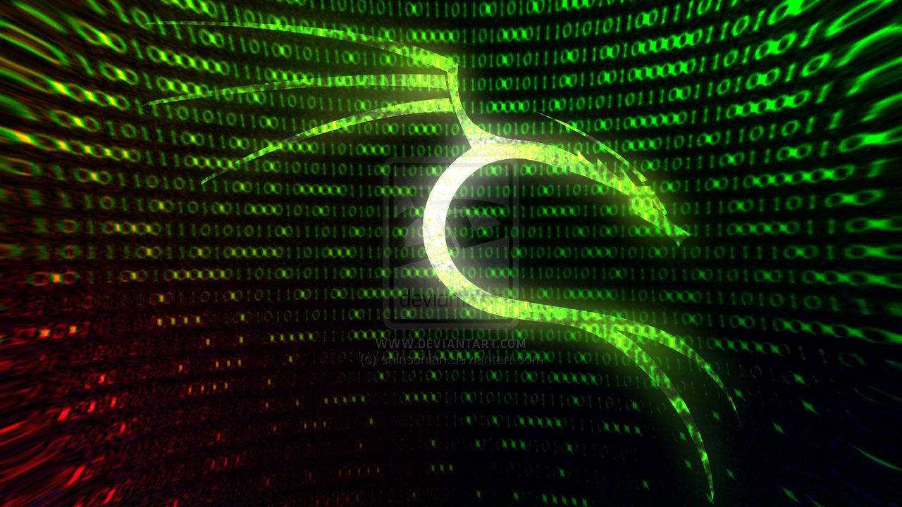 Hacker 1280X720 Wallpaper and Background Image