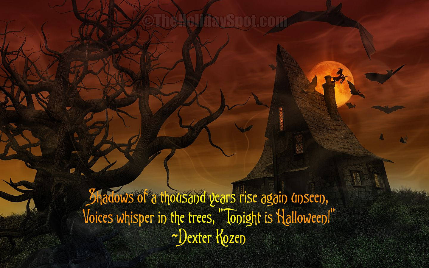 Halloween 1440X900 Wallpaper and Background Image
