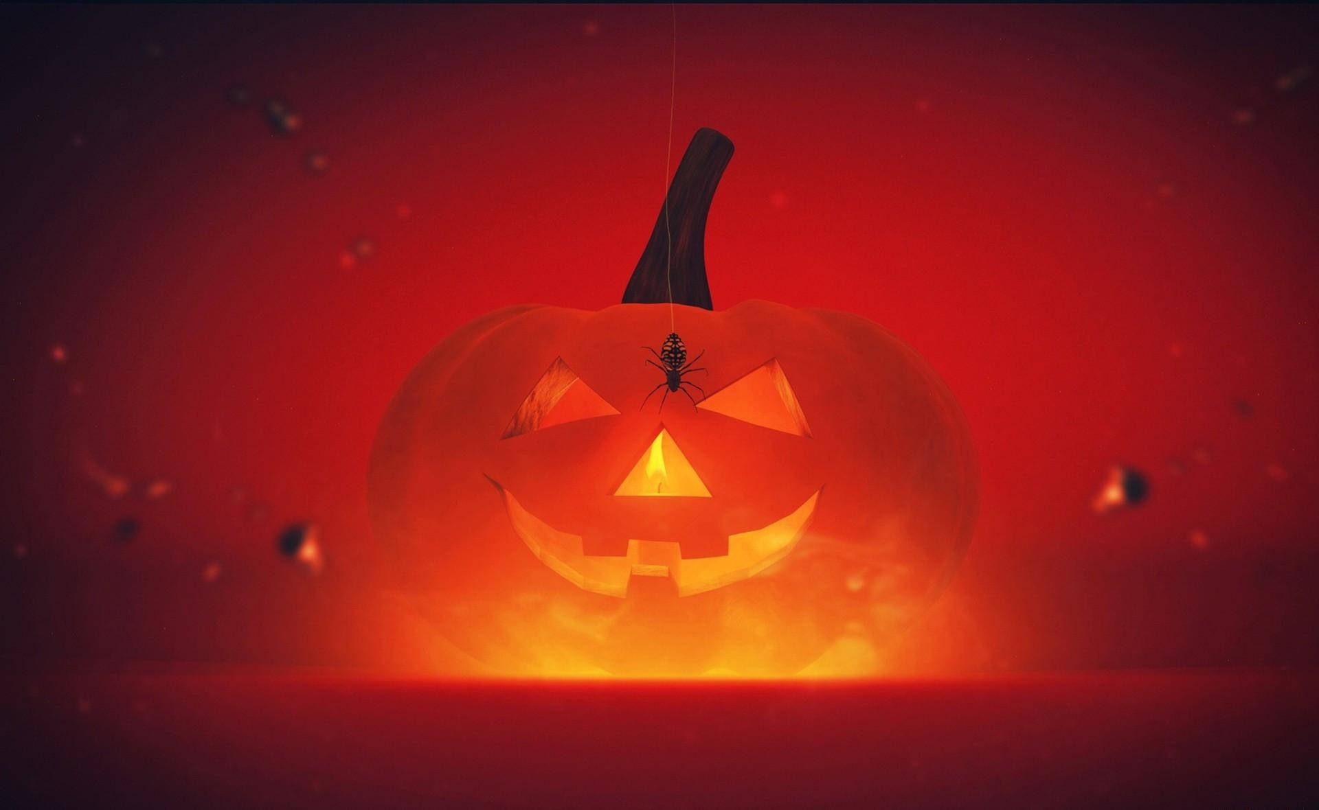 Halloween 1920X1180 Wallpaper and Background Image