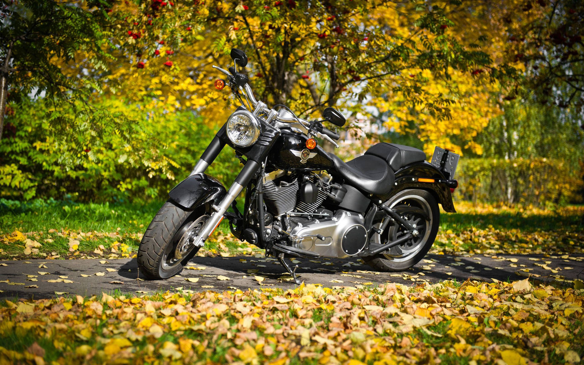 Harley Davidson 2560X1600 Wallpaper and Background Image