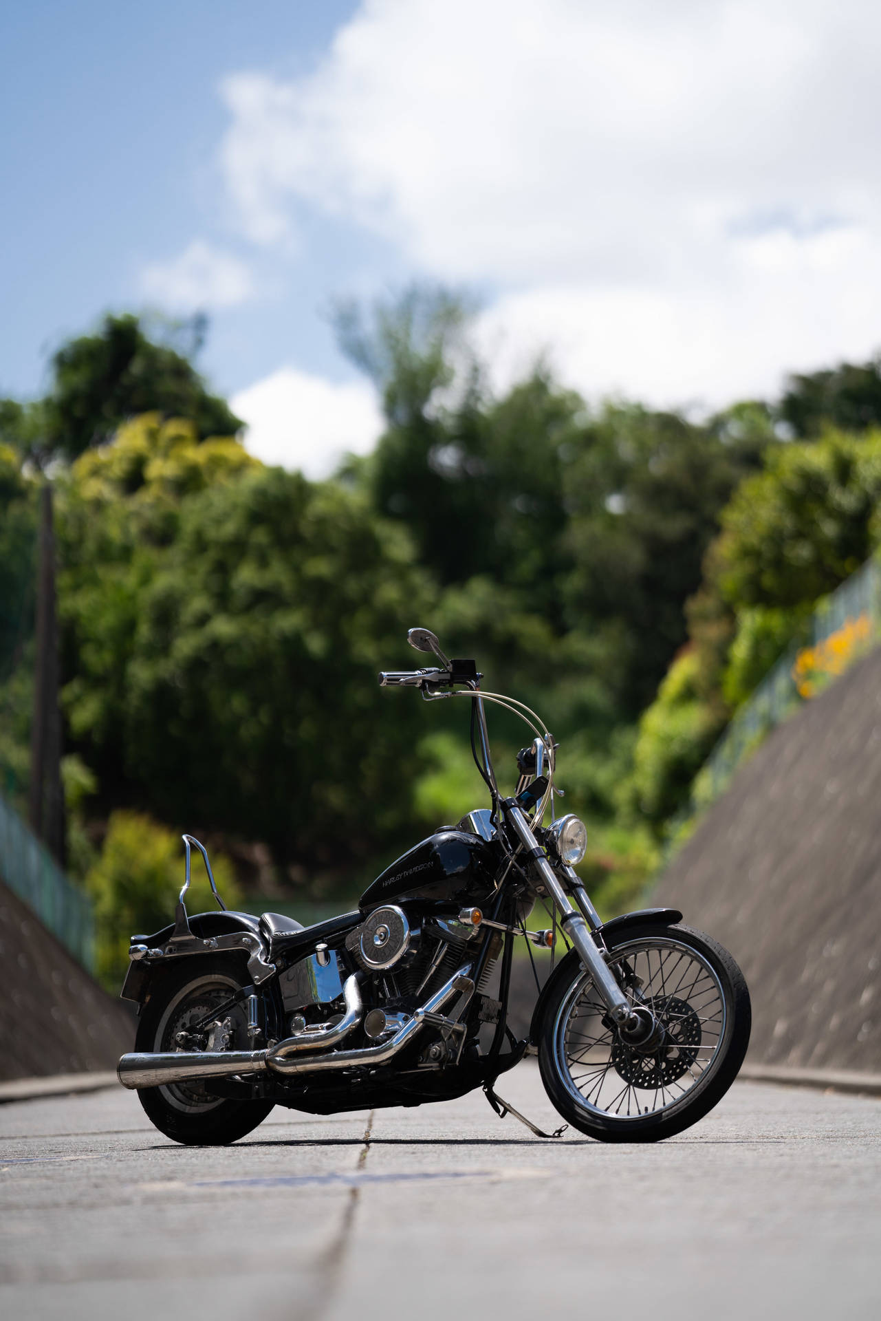 Harley Davidson 4098X6143 Wallpaper and Background Image