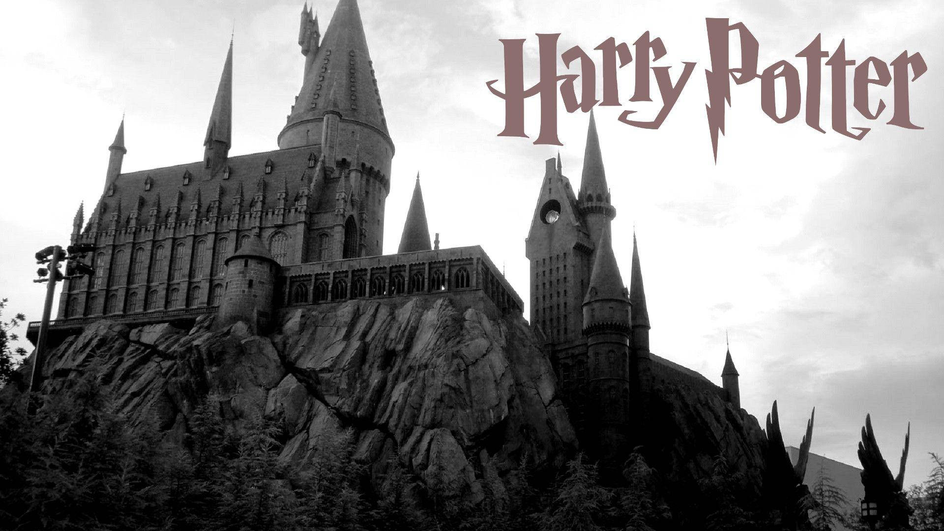 Harry Potter 1920X1080 Wallpaper and Background Image
