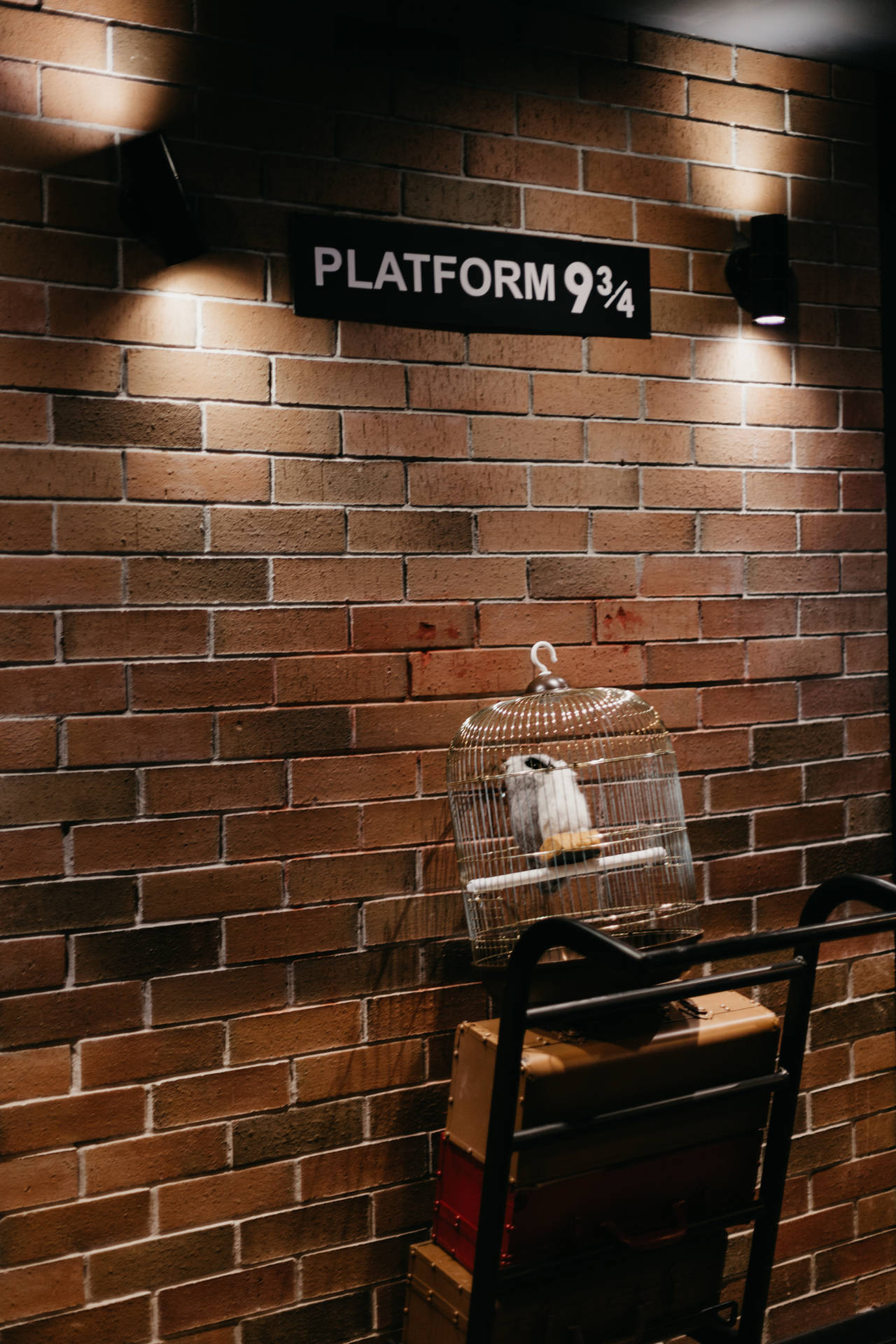 Harry Potter 3744X5616 wallpaper