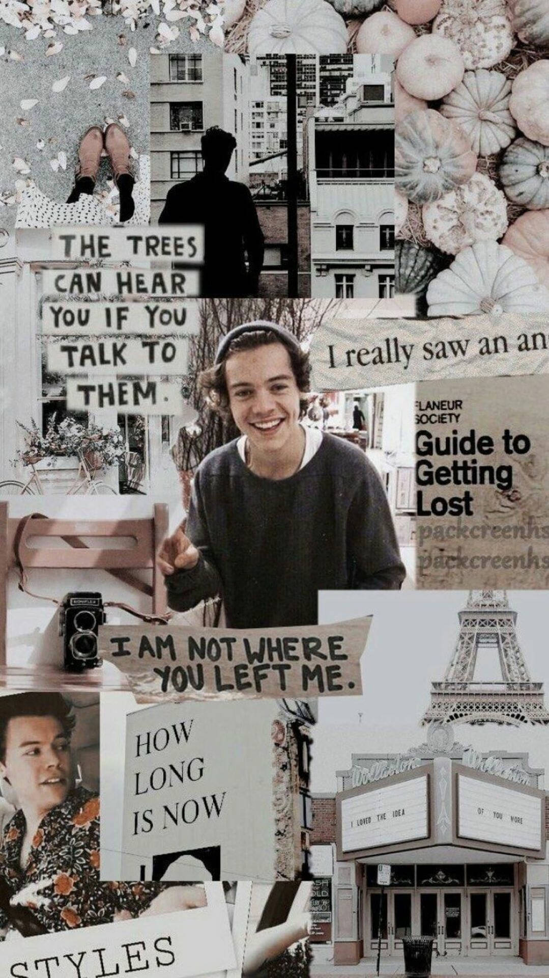 1080X1921 Harry Styles Wallpaper and Background