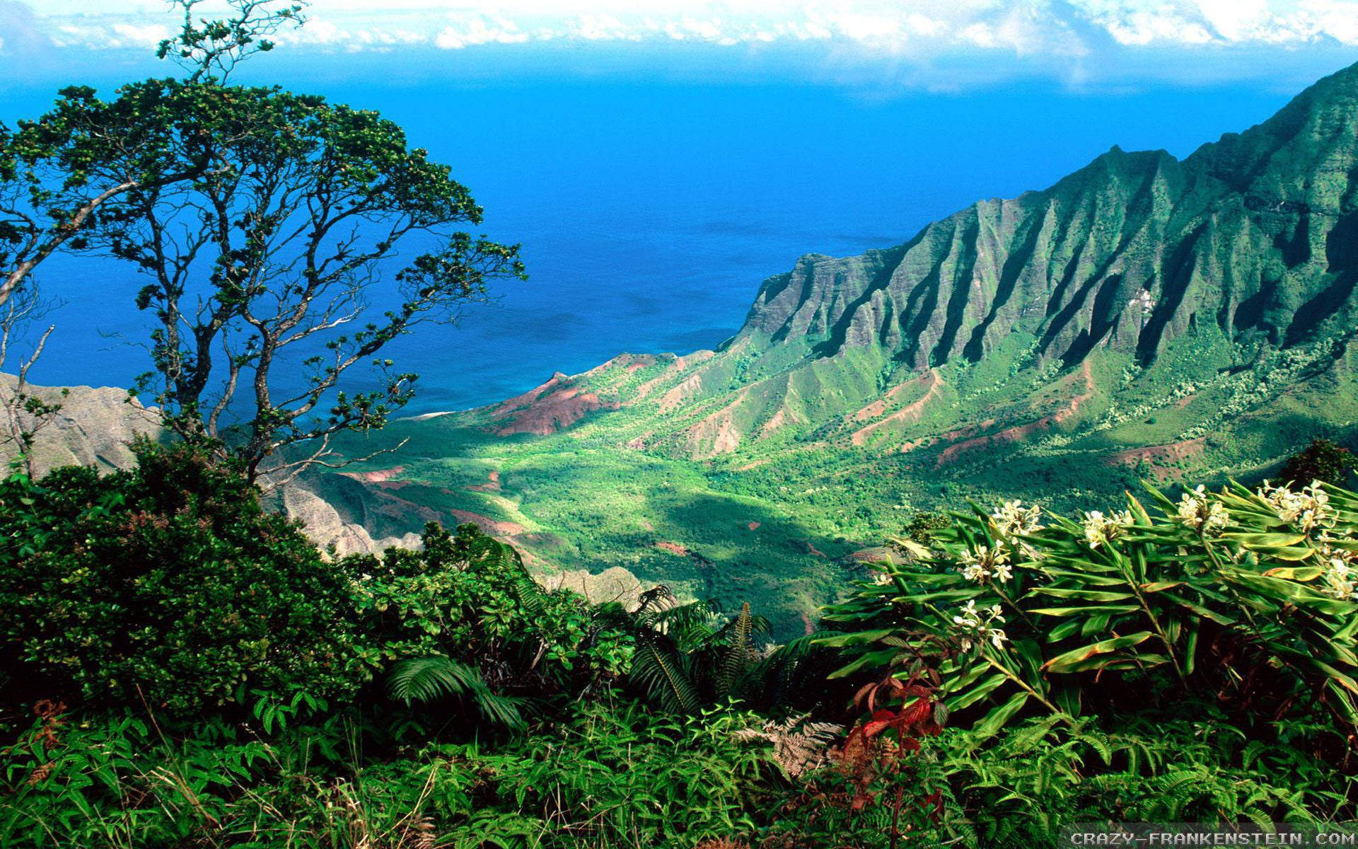 1920X1200 Hawaii Wallpaper and Background