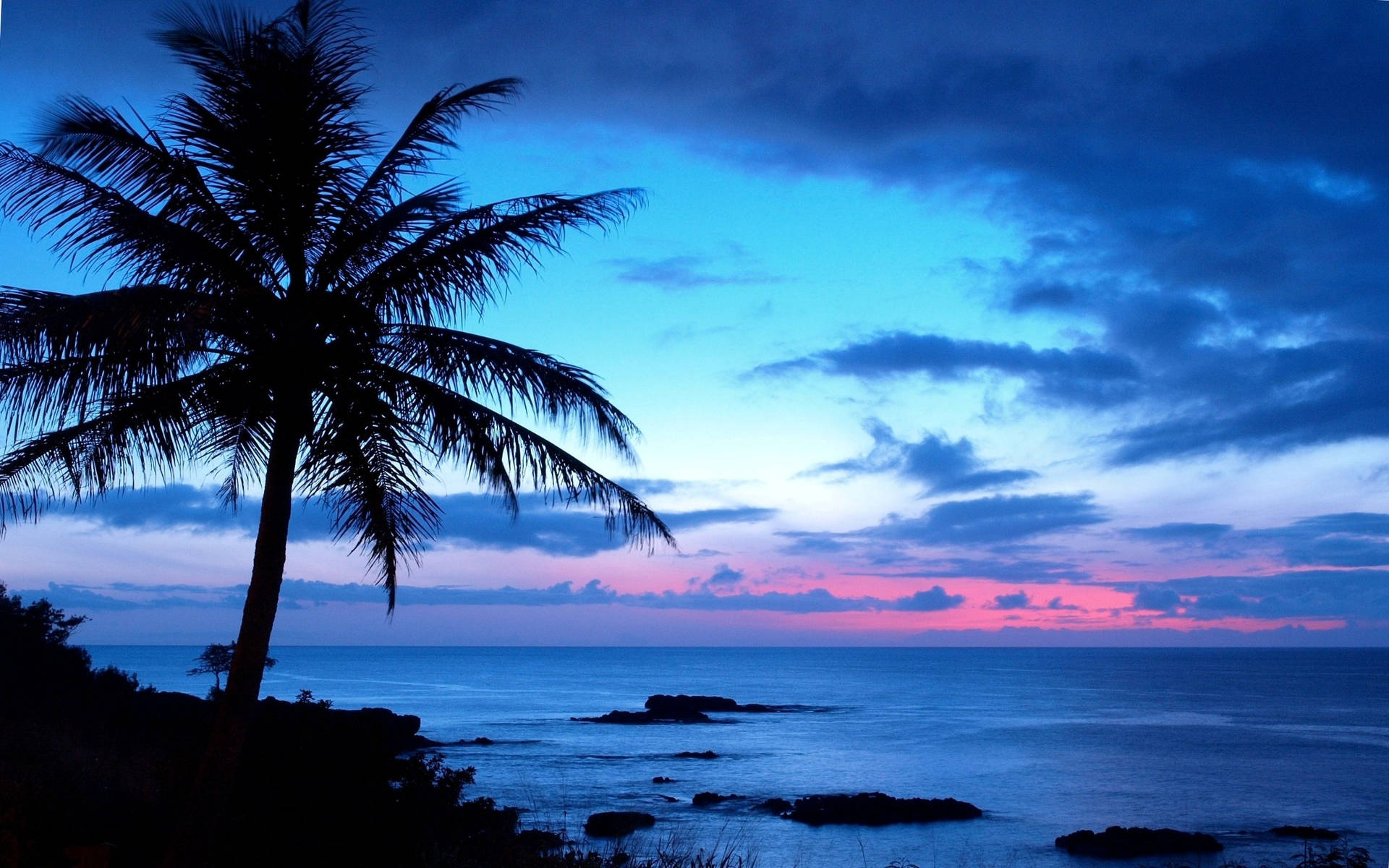 Hawaii 2560X1600 Wallpaper and Background Image