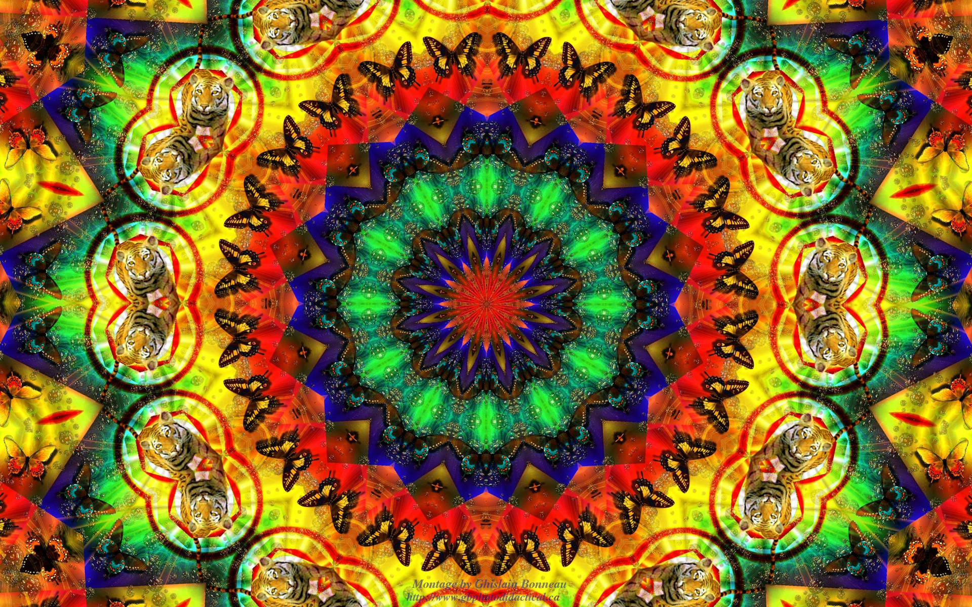 4000X2500 Hippie Wallpaper and Background