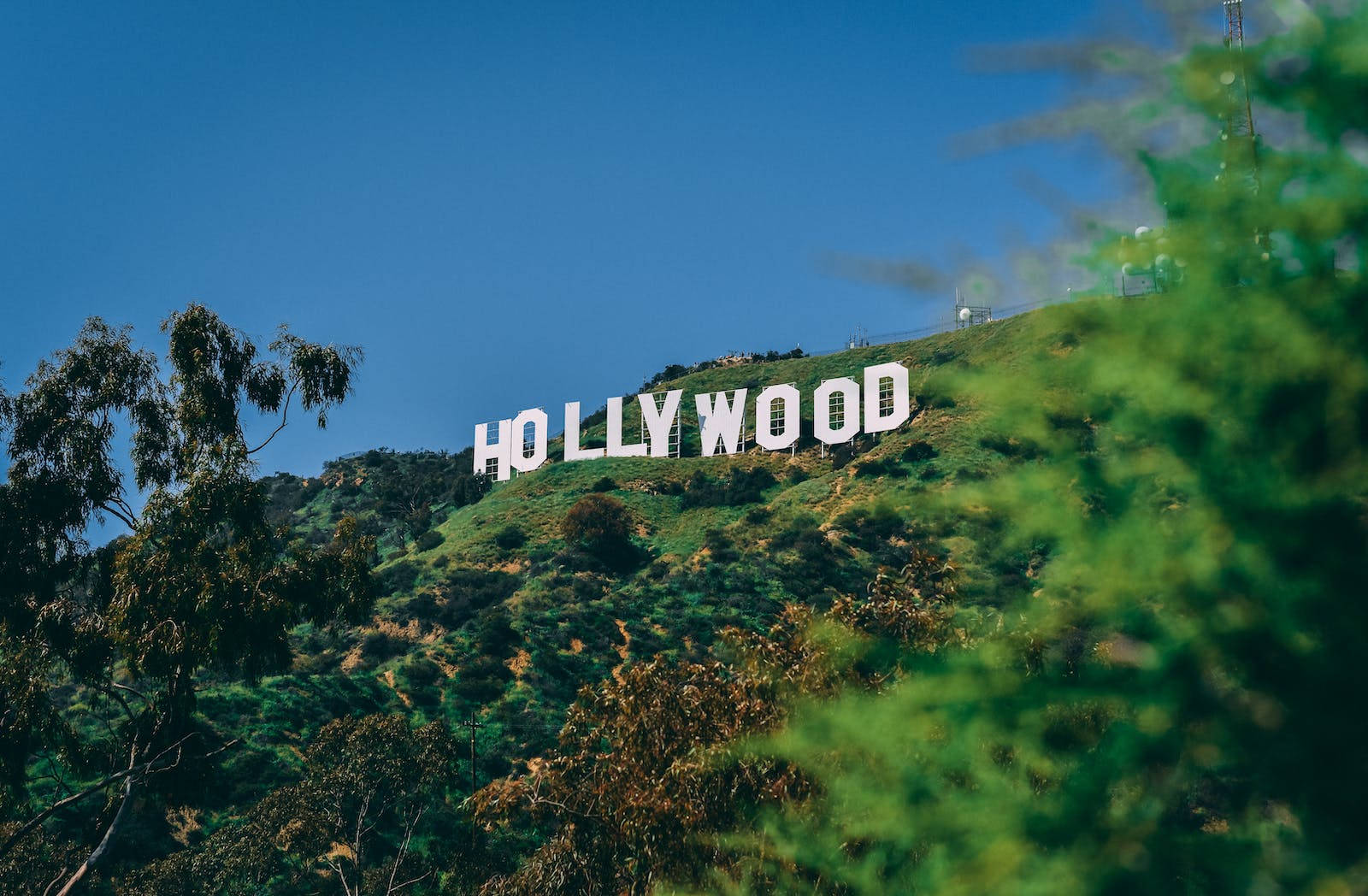 Beautiful Hollywood Sign 8K Wallpaper : r/4kWallpaper