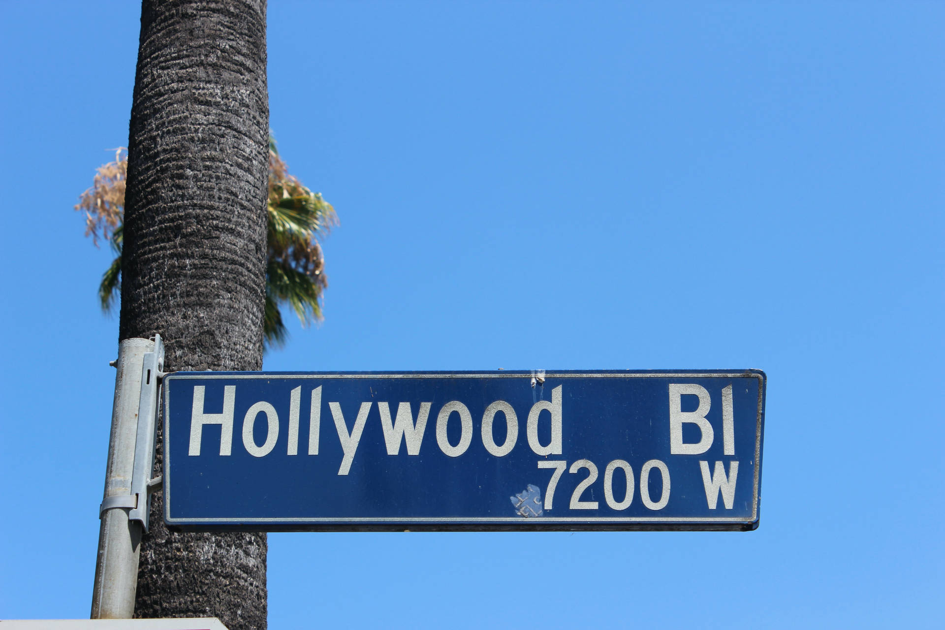 Hollywood 5184X3456 Wallpaper and Background Image