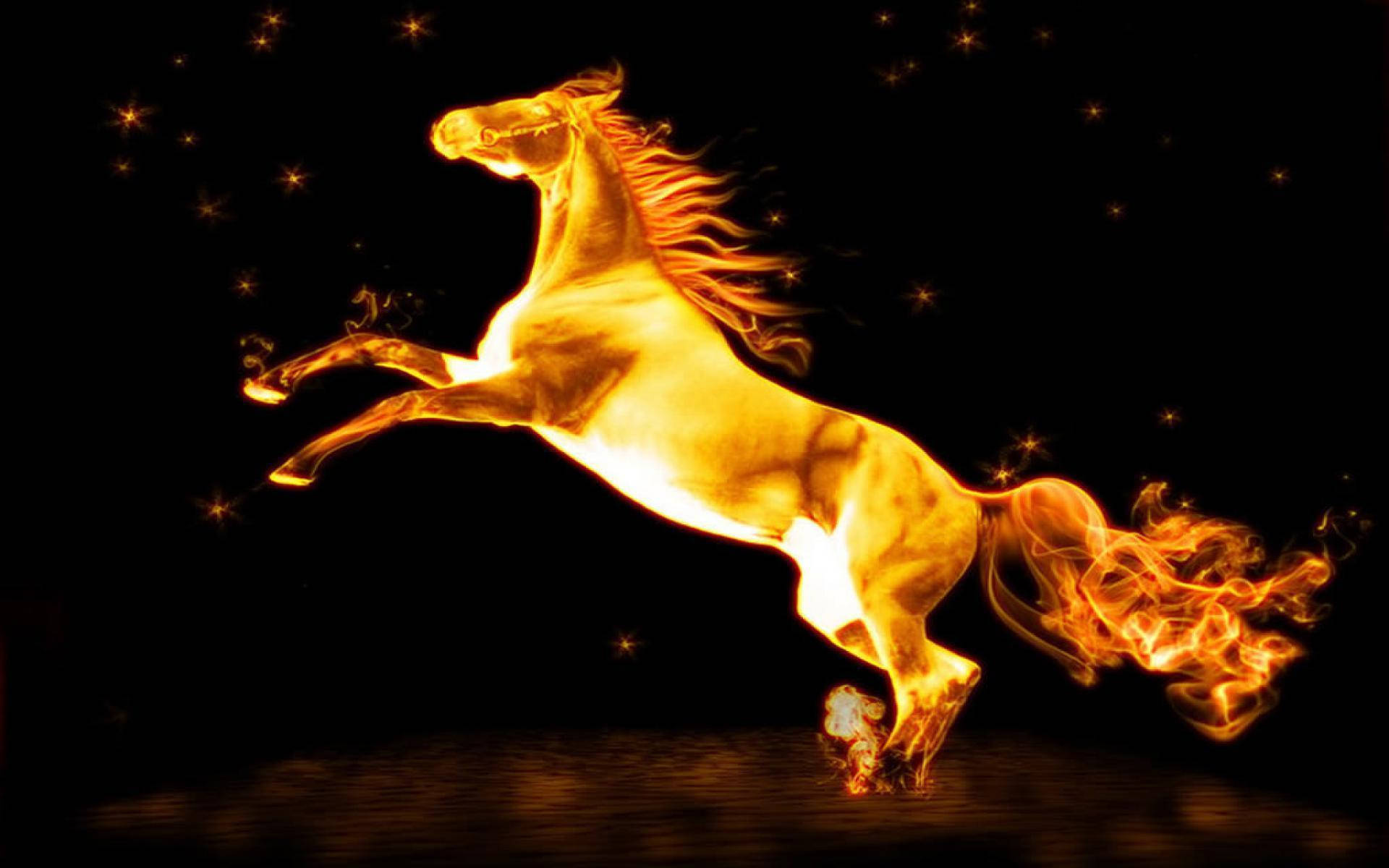 Horse 1920X1200 Wallpaper and Background Image