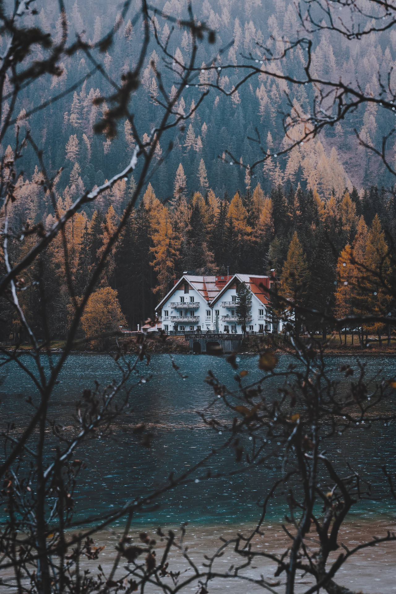 3648X5472 House Wallpaper and Background