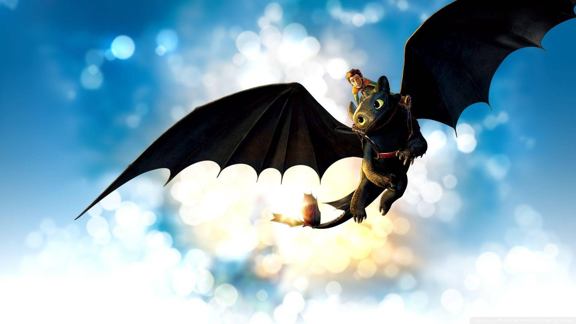 How To Train Your Dragon 1920X1080 Wallpaper and Background Image