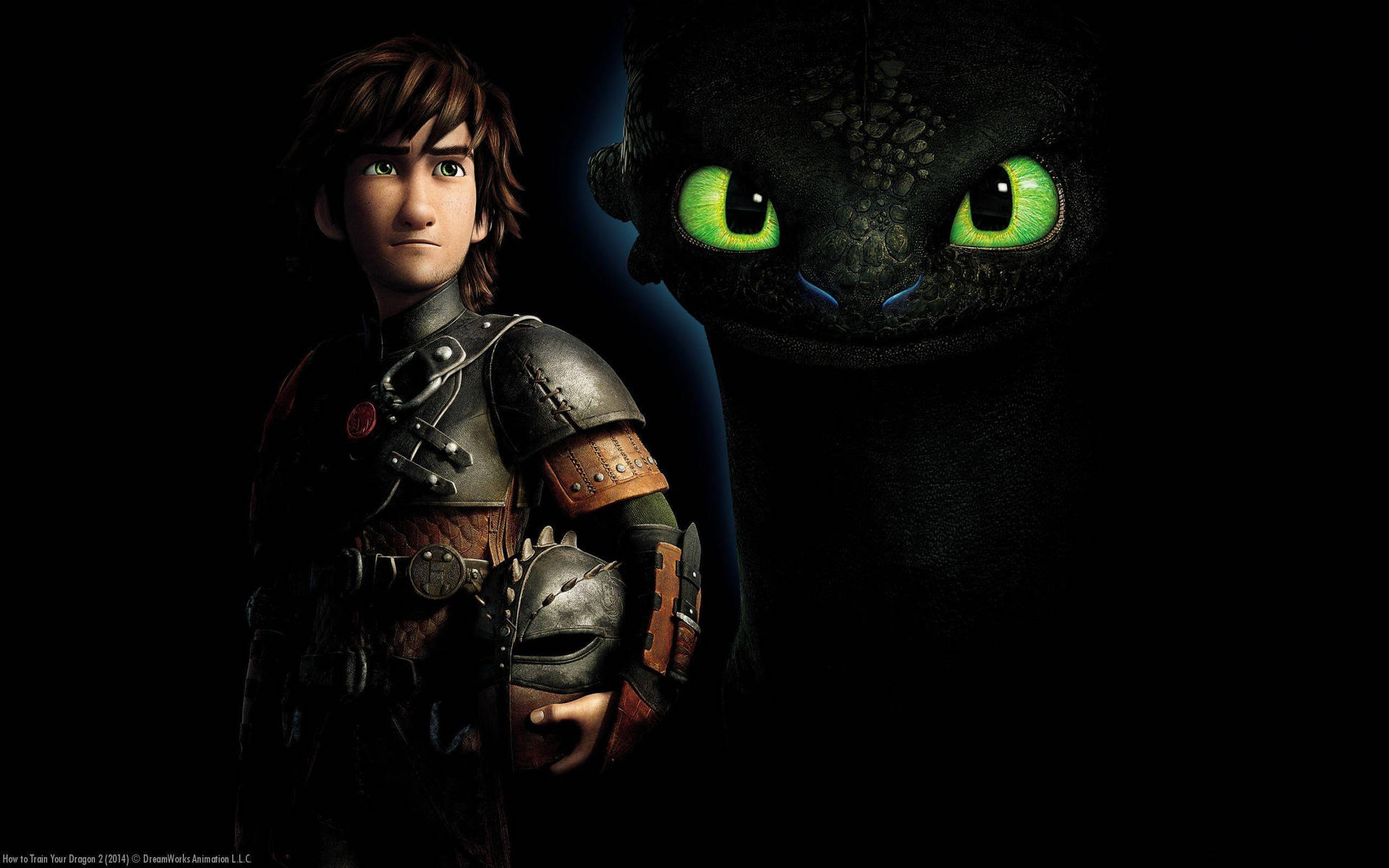 How To Train Your Dragon 2560X1600 Wallpaper and Background Image