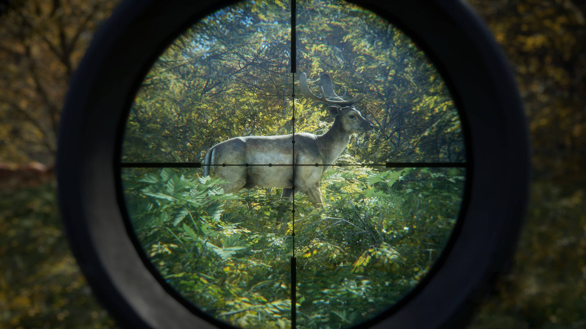 Hunting 1920X1080 Wallpaper and Background Image