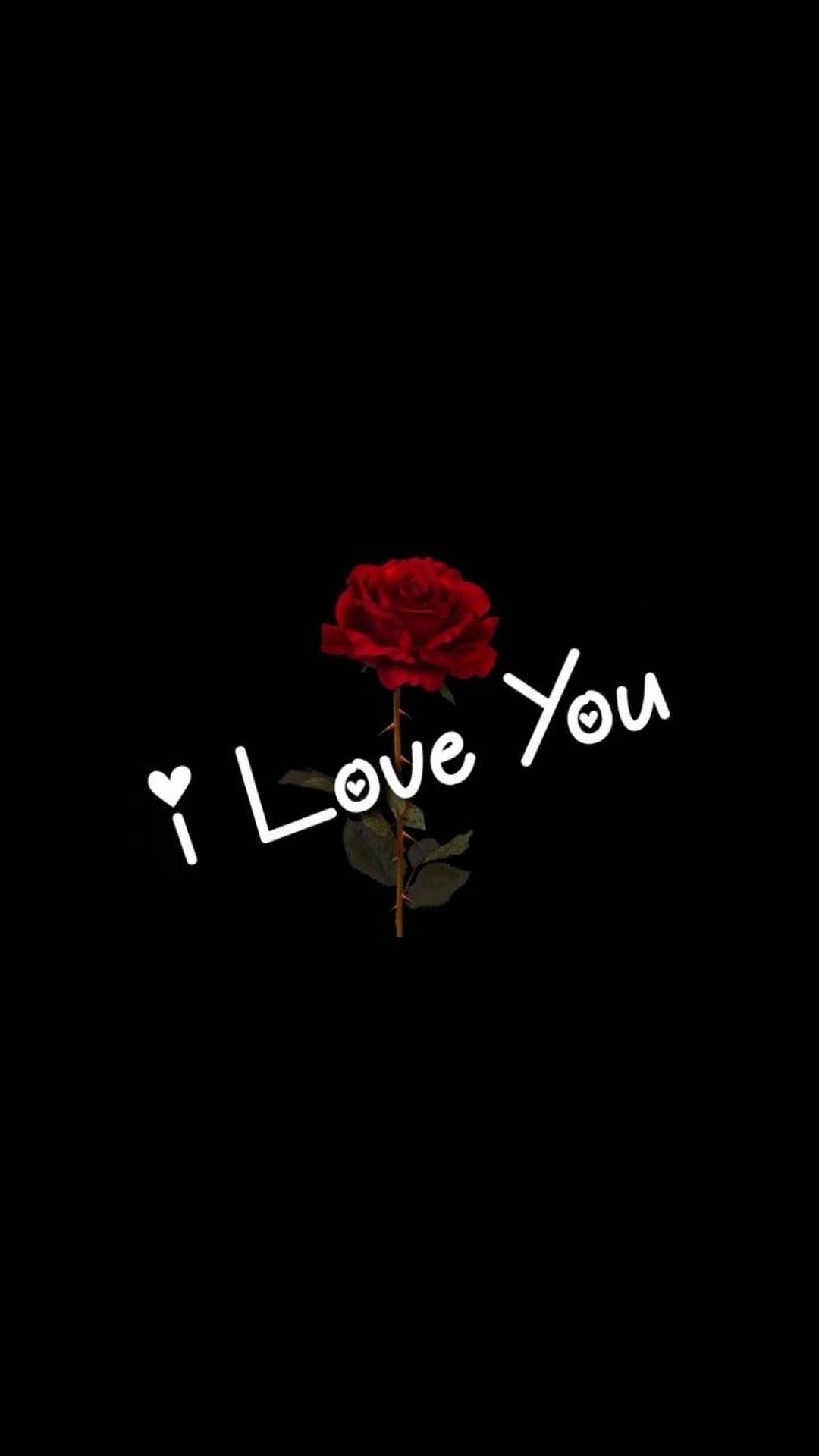 1440X2560 I Love You Wallpaper and Background