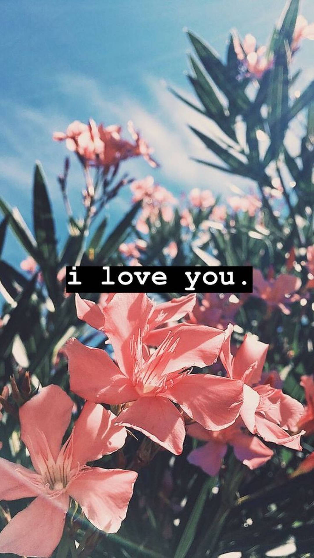 1472X2618 I Love You Wallpaper and Background