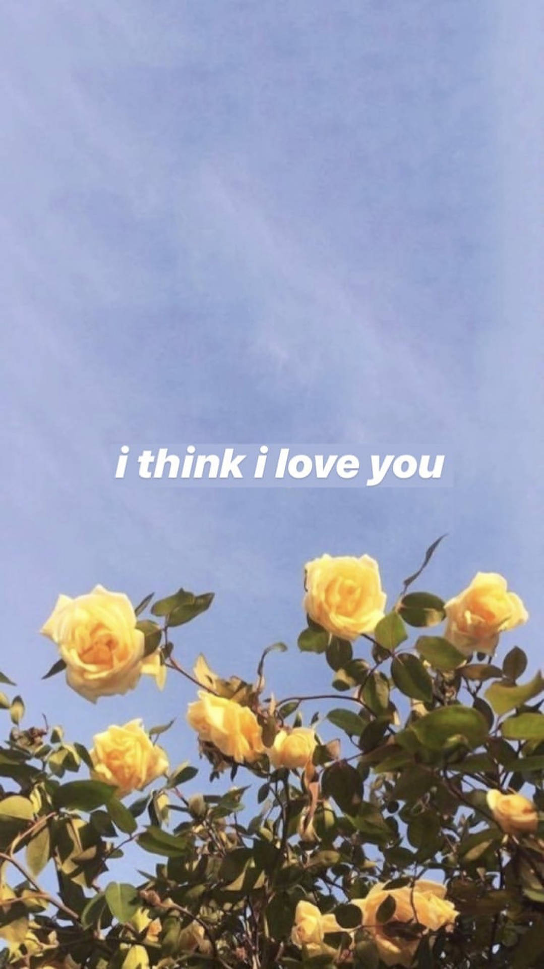 1500X2668 I Love You Wallpaper and Background