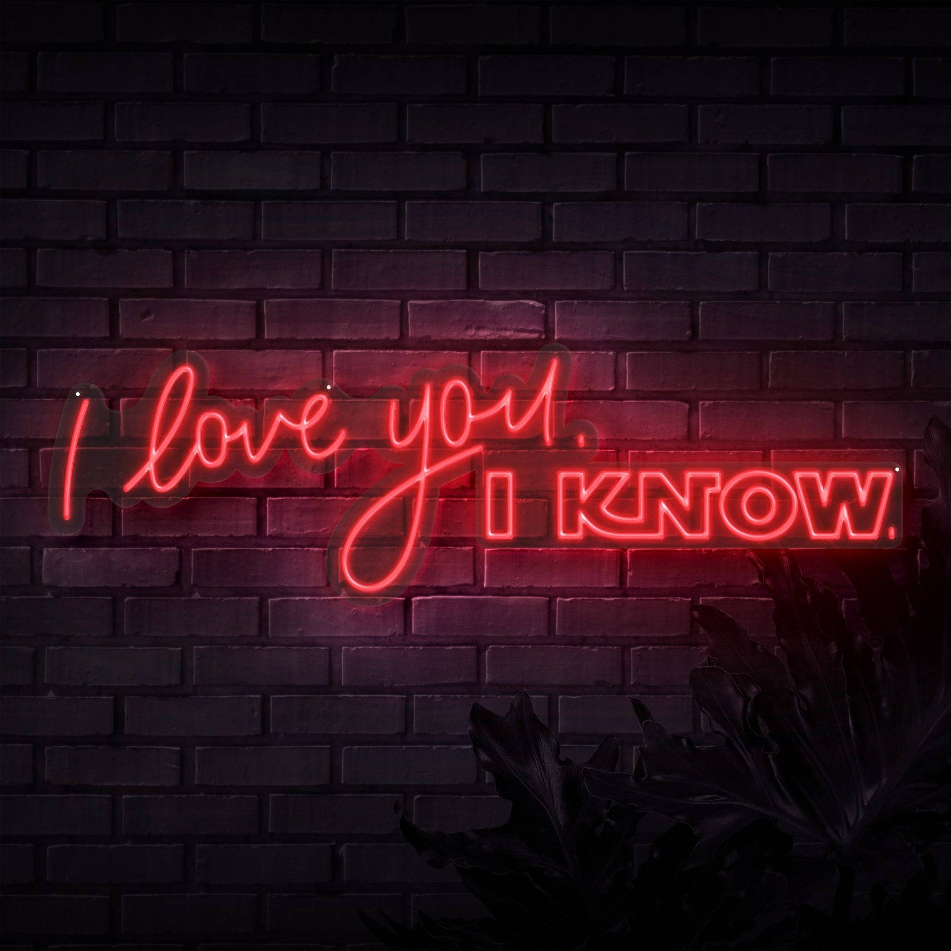 1920X1920 I Love You Wallpaper and Background