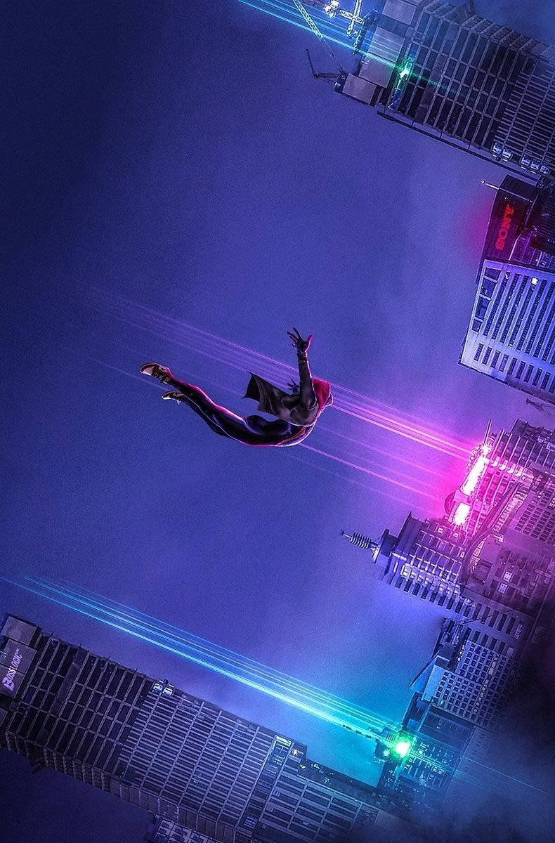 790X1200 Into The Spider Verse Wallpaper and Background