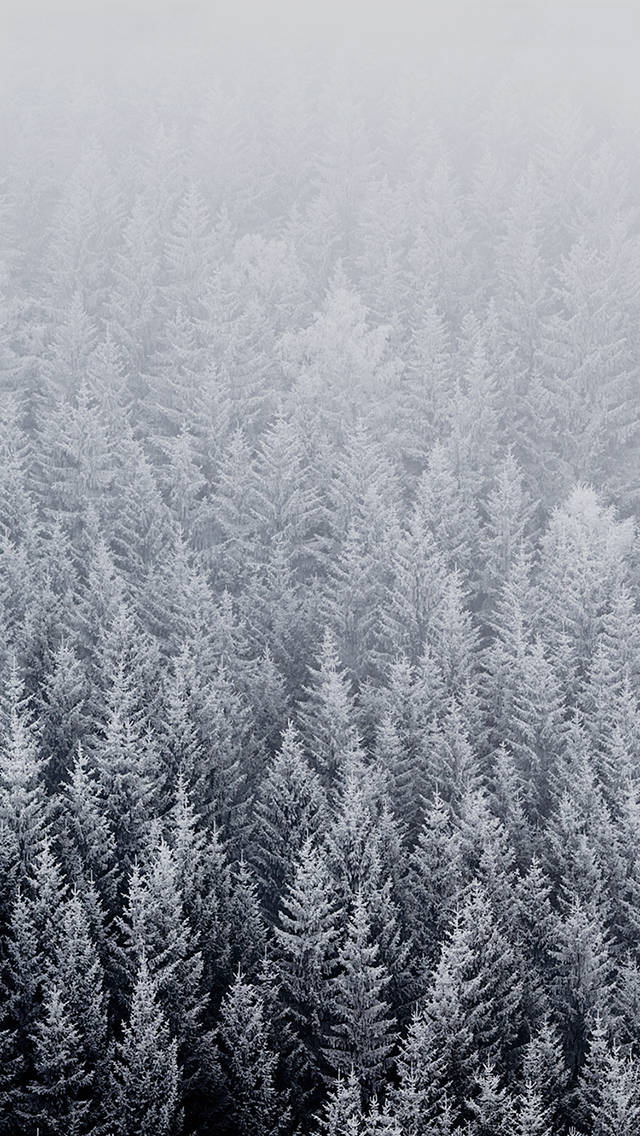 640X1136 IOS 8 Wallpaper and Background