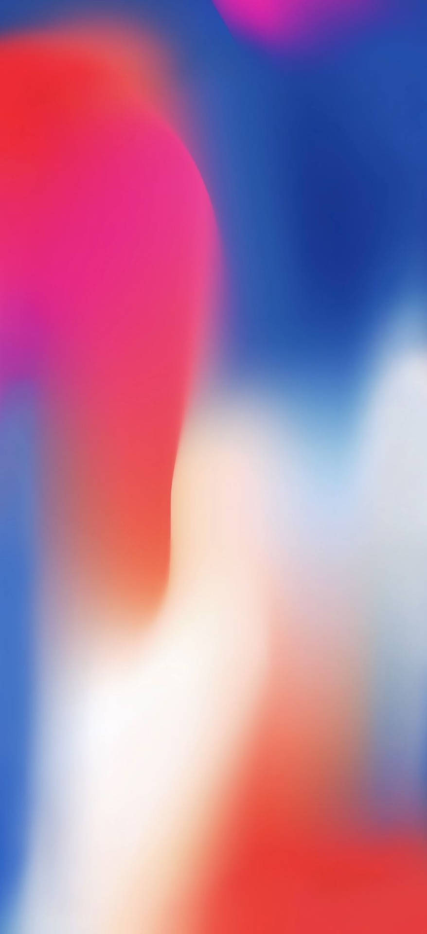 IPhone 11 904X1976 Wallpaper and Background Image