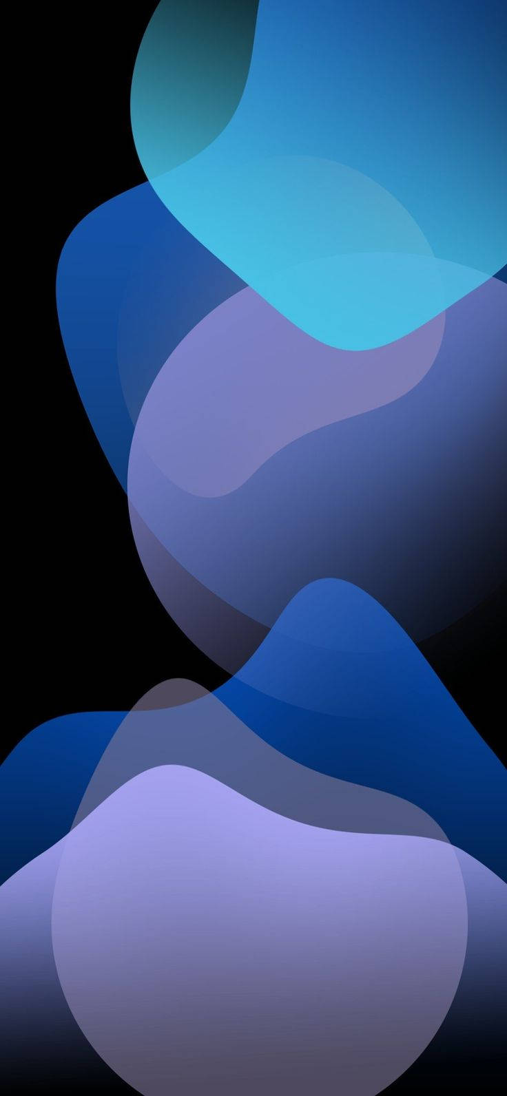 736X1592 Iphone 13 Pro Wallpaper and Background