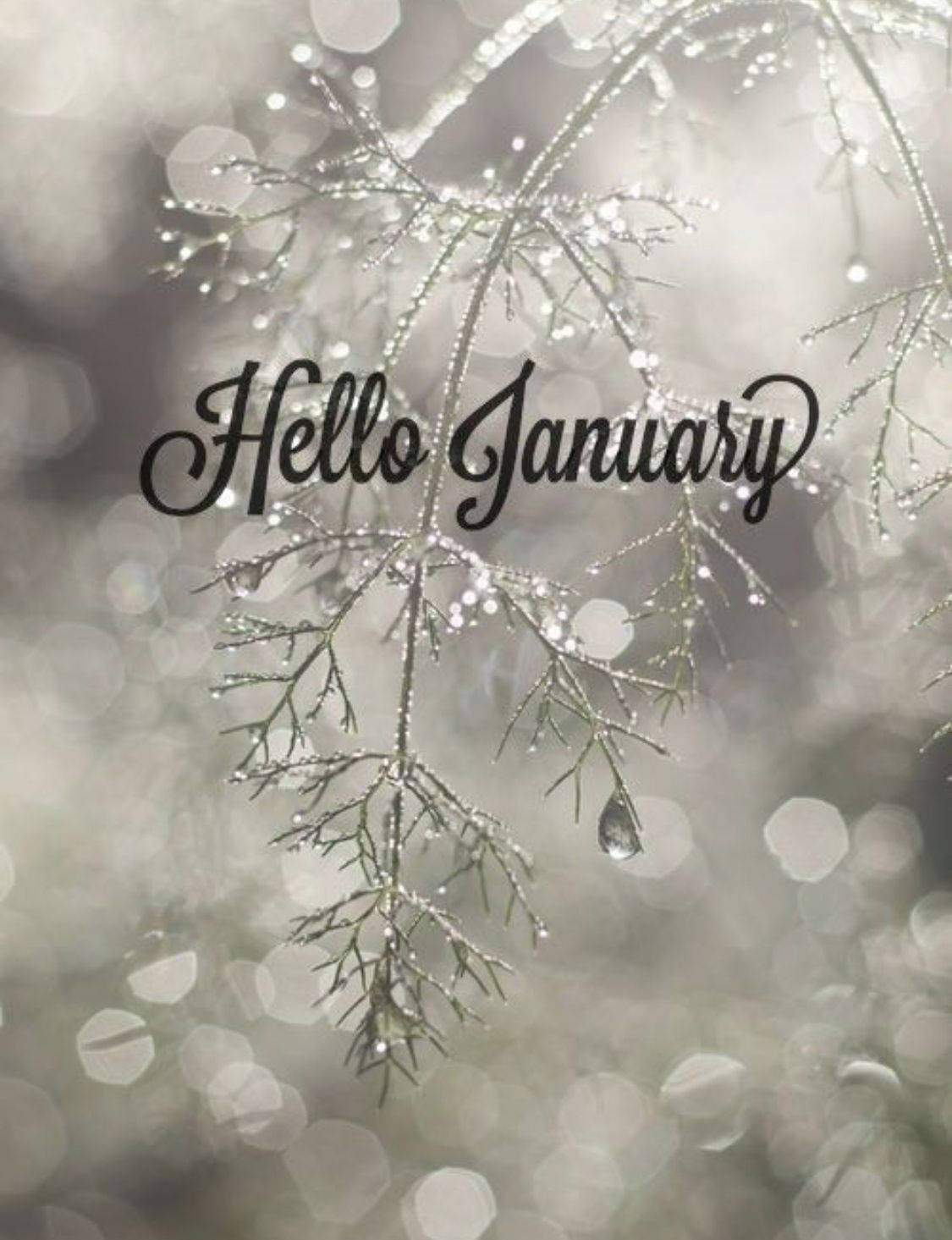 January 1125X1465 Wallpaper and Background Image