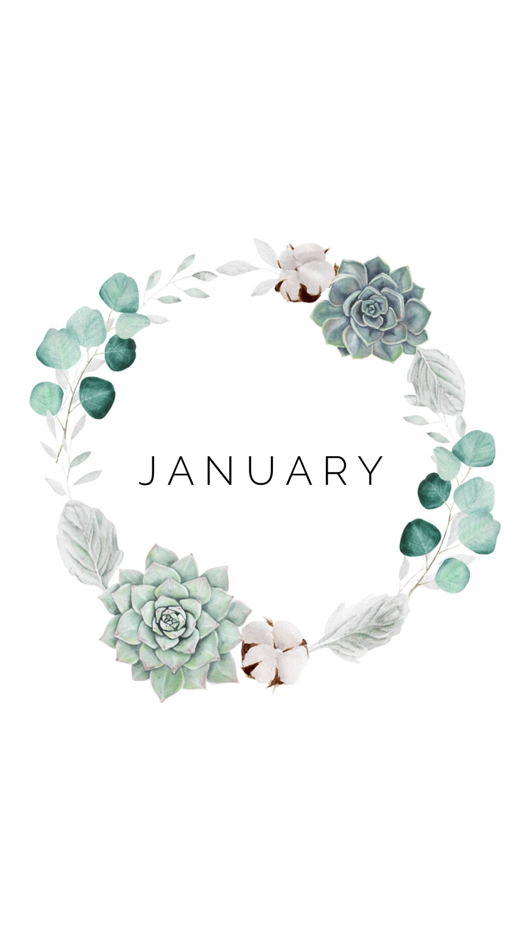 January 1154X2048 Wallpaper and Background Image