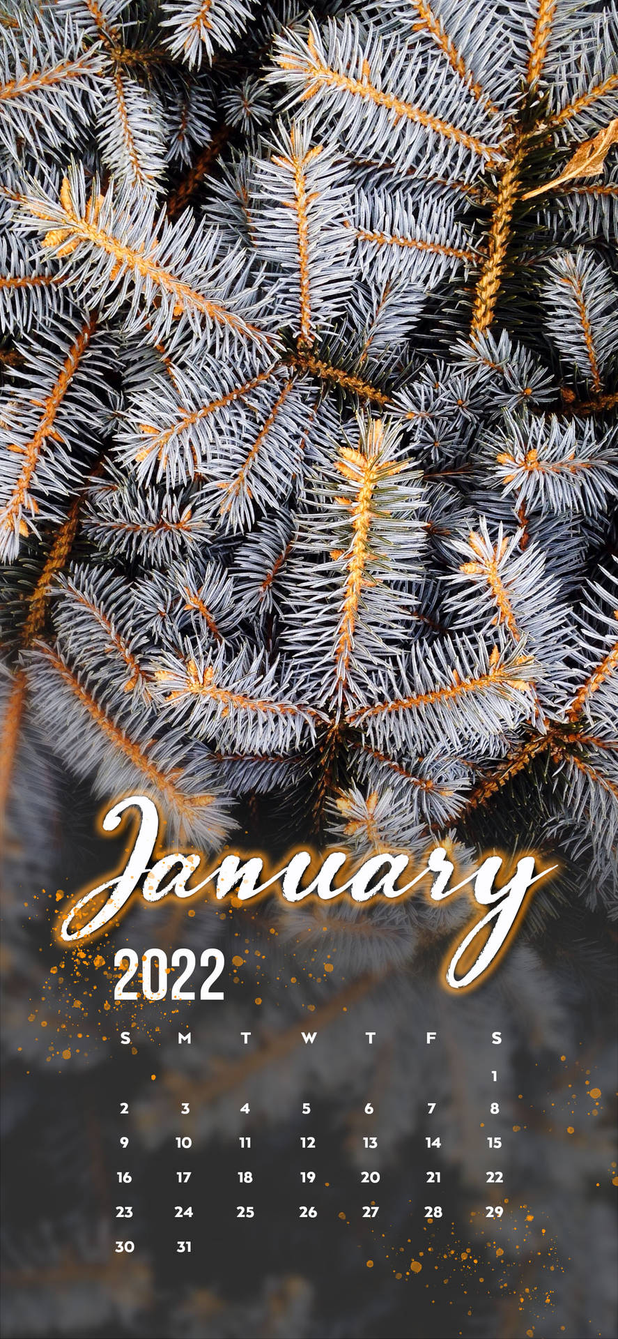 1284X2778 January Wallpaper and Background