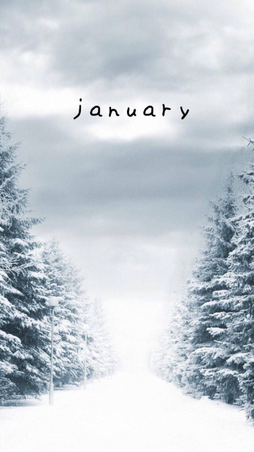 January 828X1471 Wallpaper and Background Image