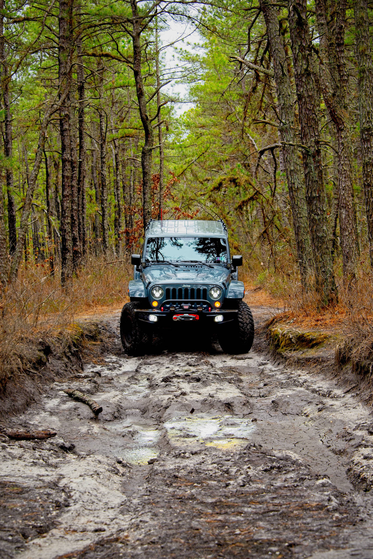 Jeep 4678X7010 Wallpaper and Background Image