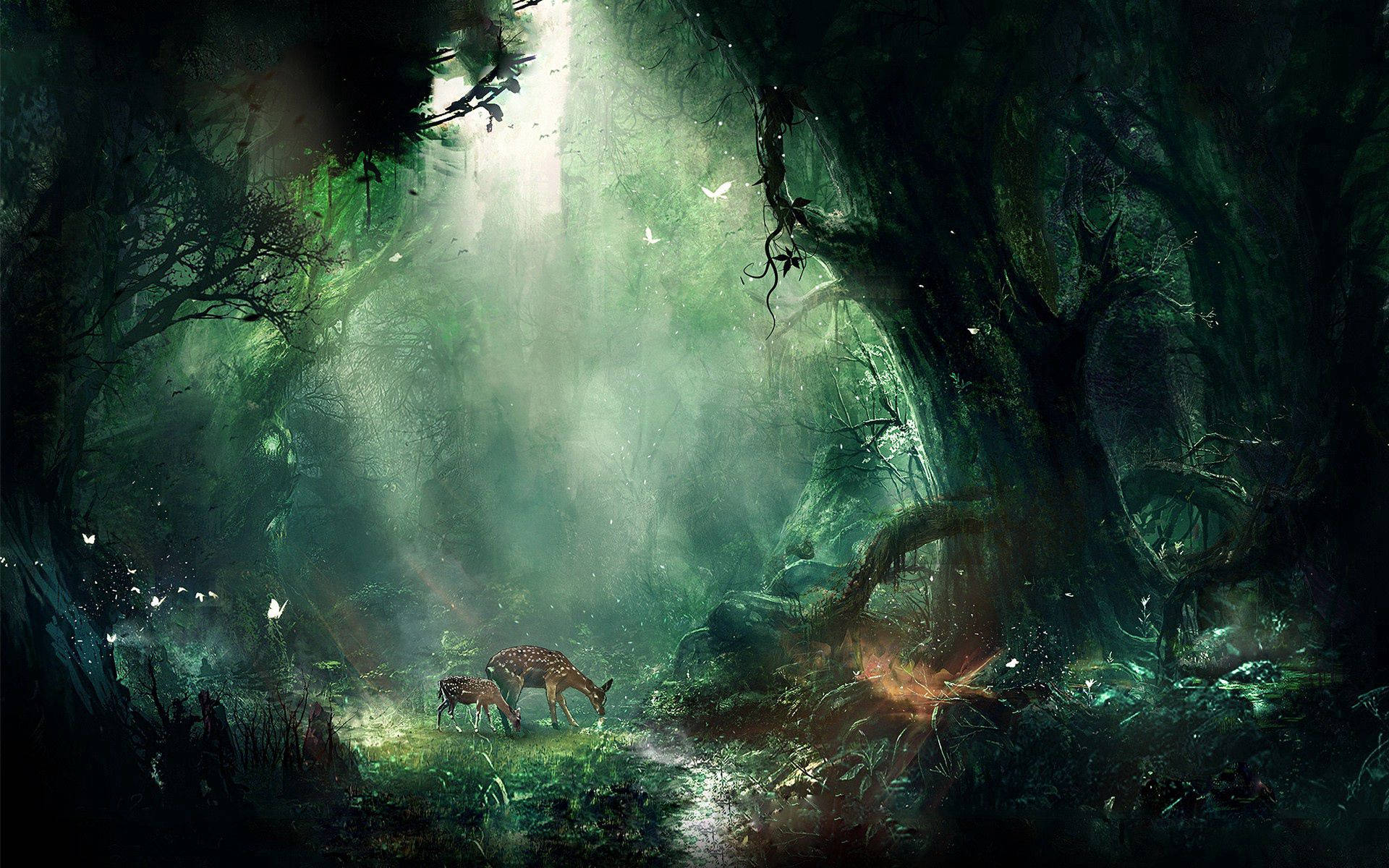 1920X1200 Jungle Wallpaper and Background