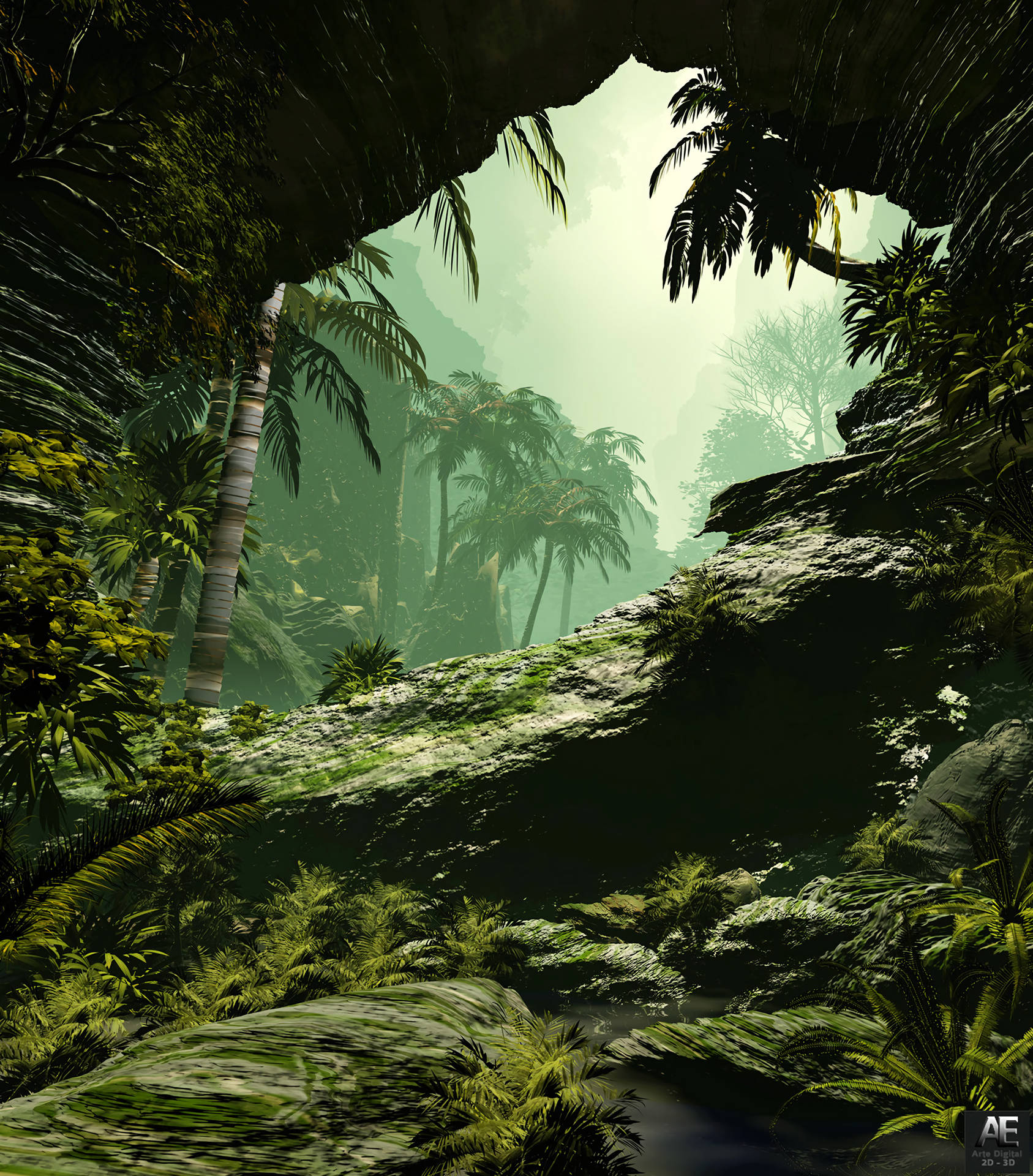 2796X3182 Jungle Wallpaper and Background