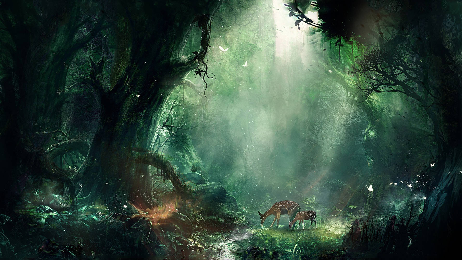 Jungle 3840X2160 Wallpaper and Background Image