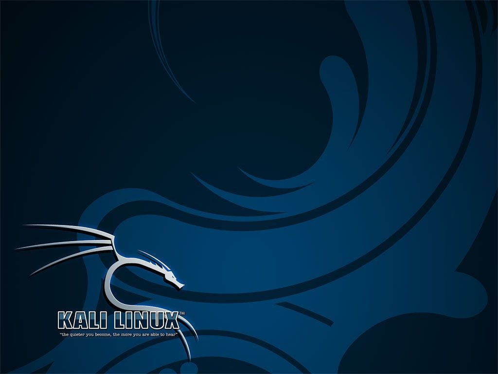 1024X768 Kali Linux Wallpaper and Background