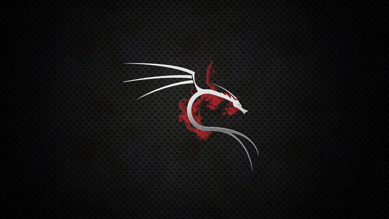 1366X768 Kali Linux Wallpaper and Background
