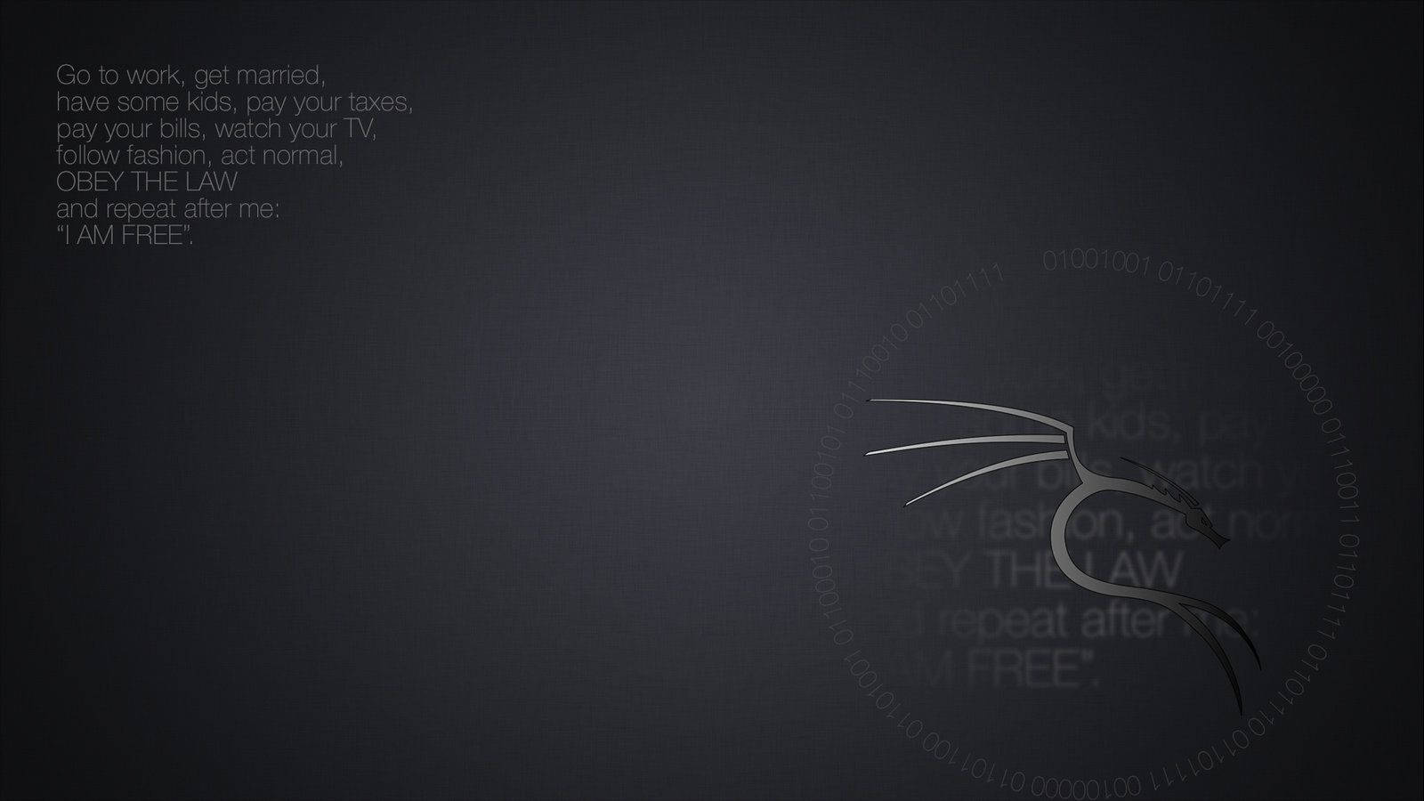 1600X900 Kali Linux Wallpaper and Background