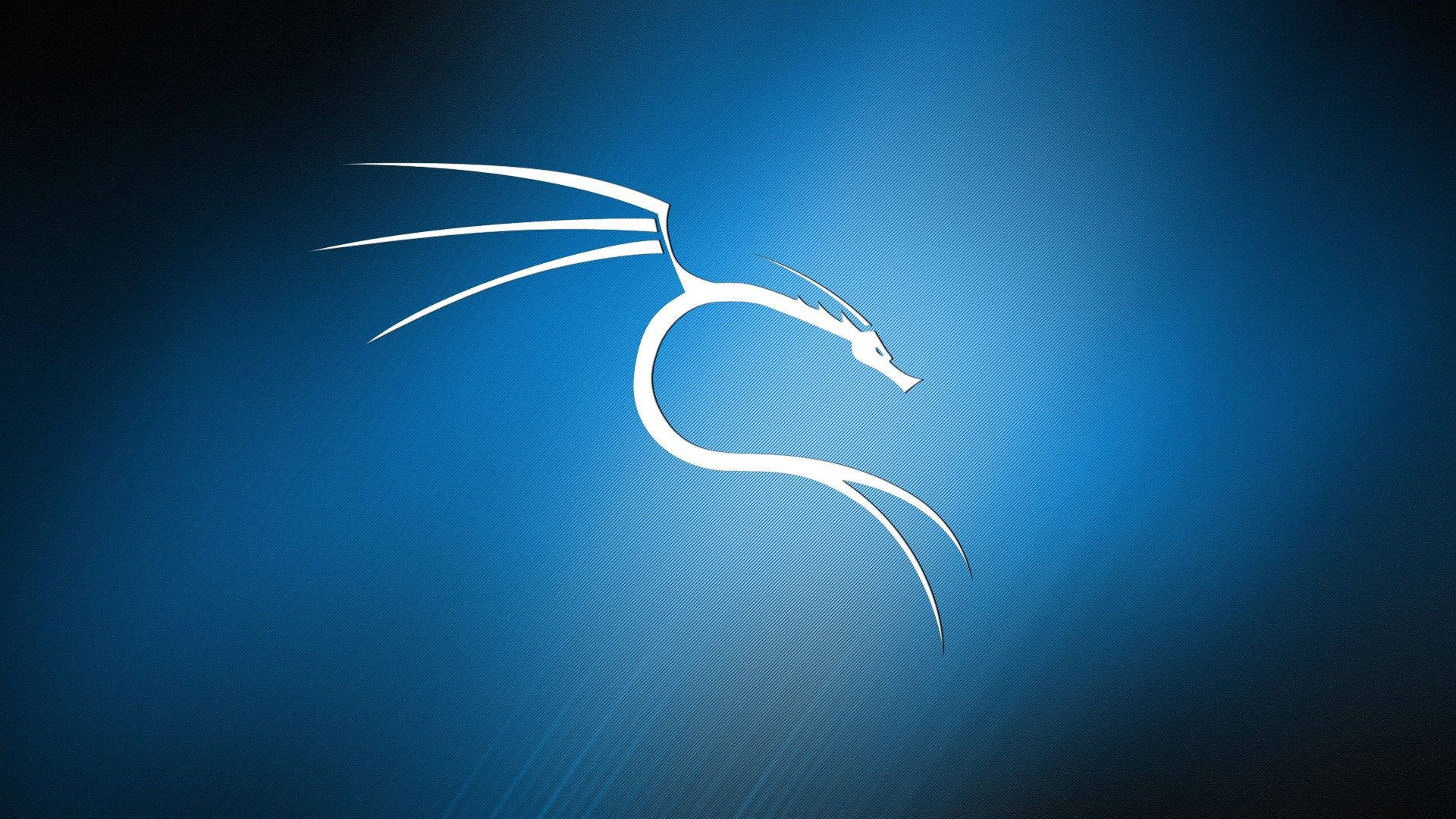1920X1080 Kali Linux Wallpaper and Background