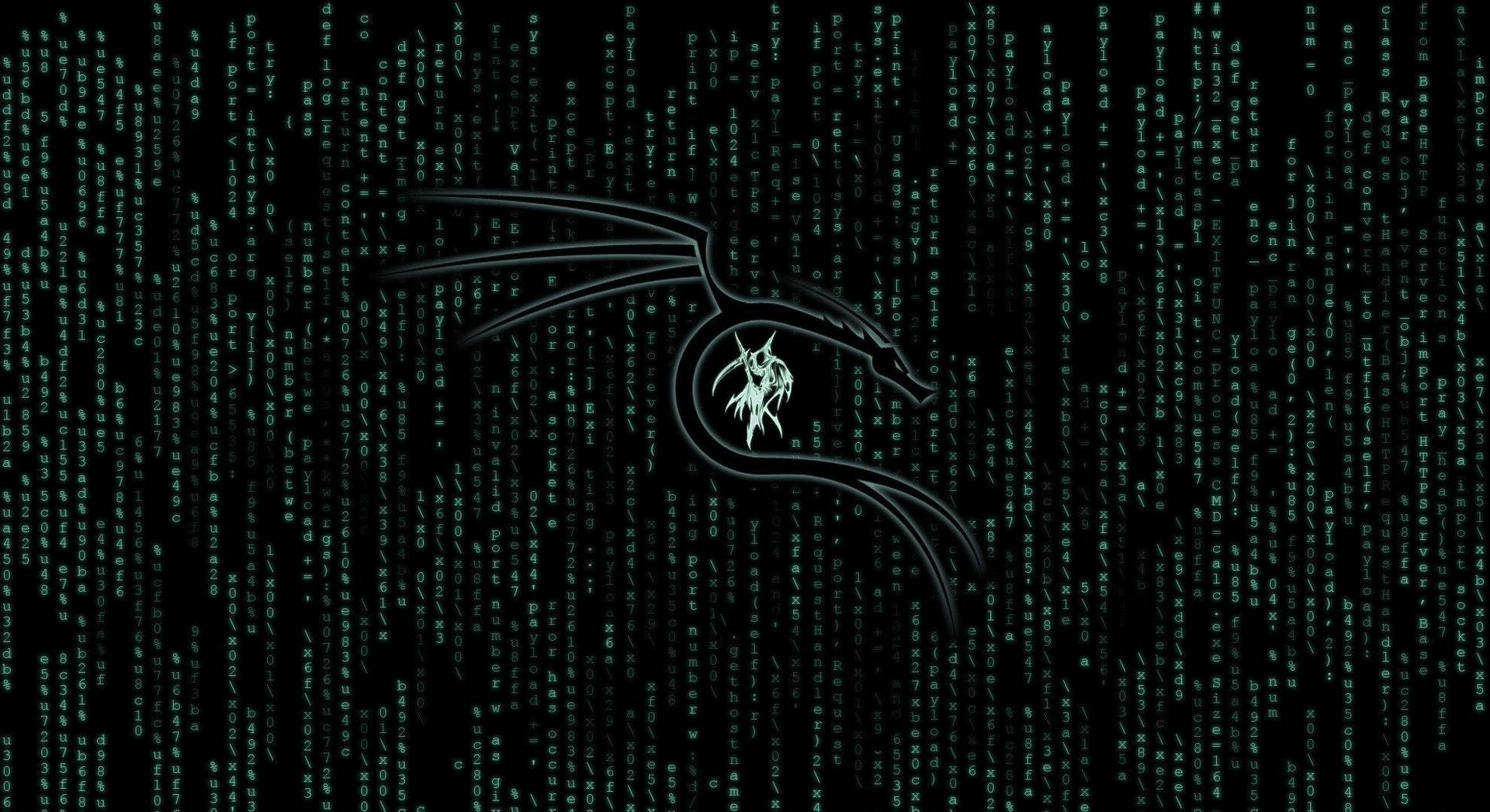 1980X1080 Kali Linux Wallpaper and Background