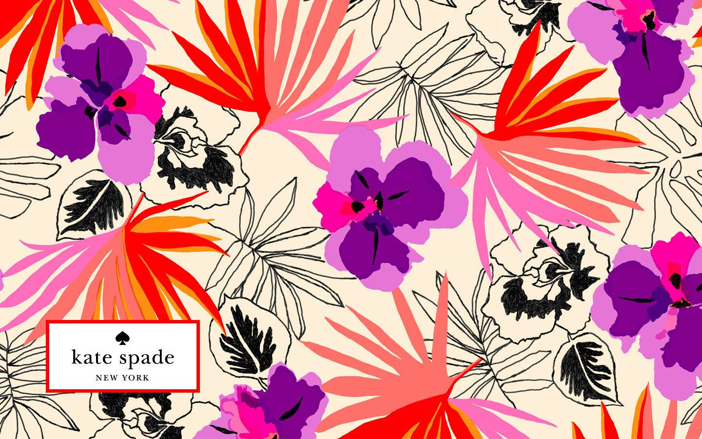 1440X900 Kate Spade Wallpaper and Background
