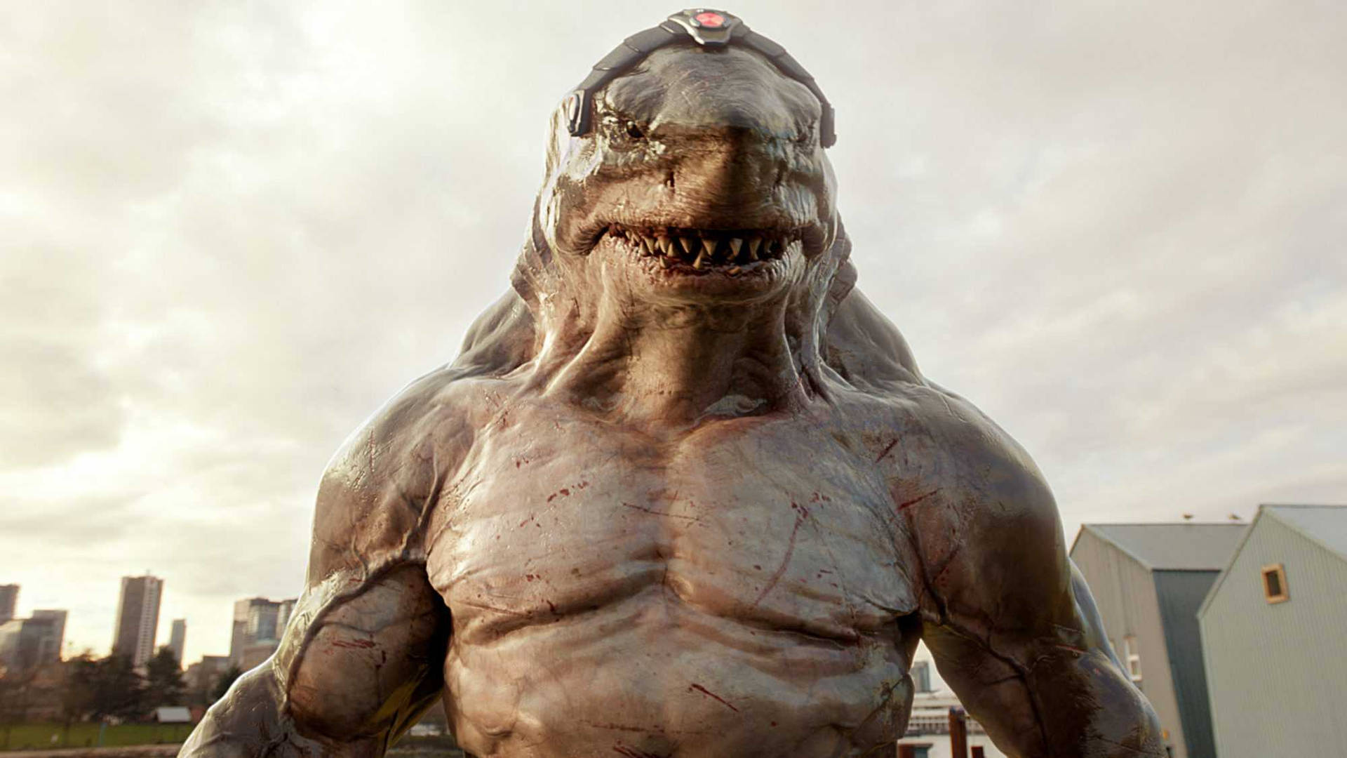 King Shark 2000X1125 Wallpaper and Background Image