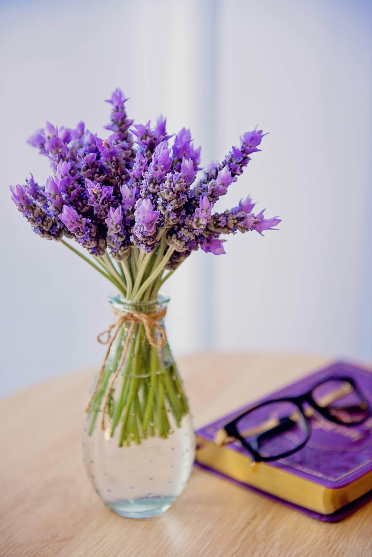 4016X6016 Lavender Wallpaper and Background