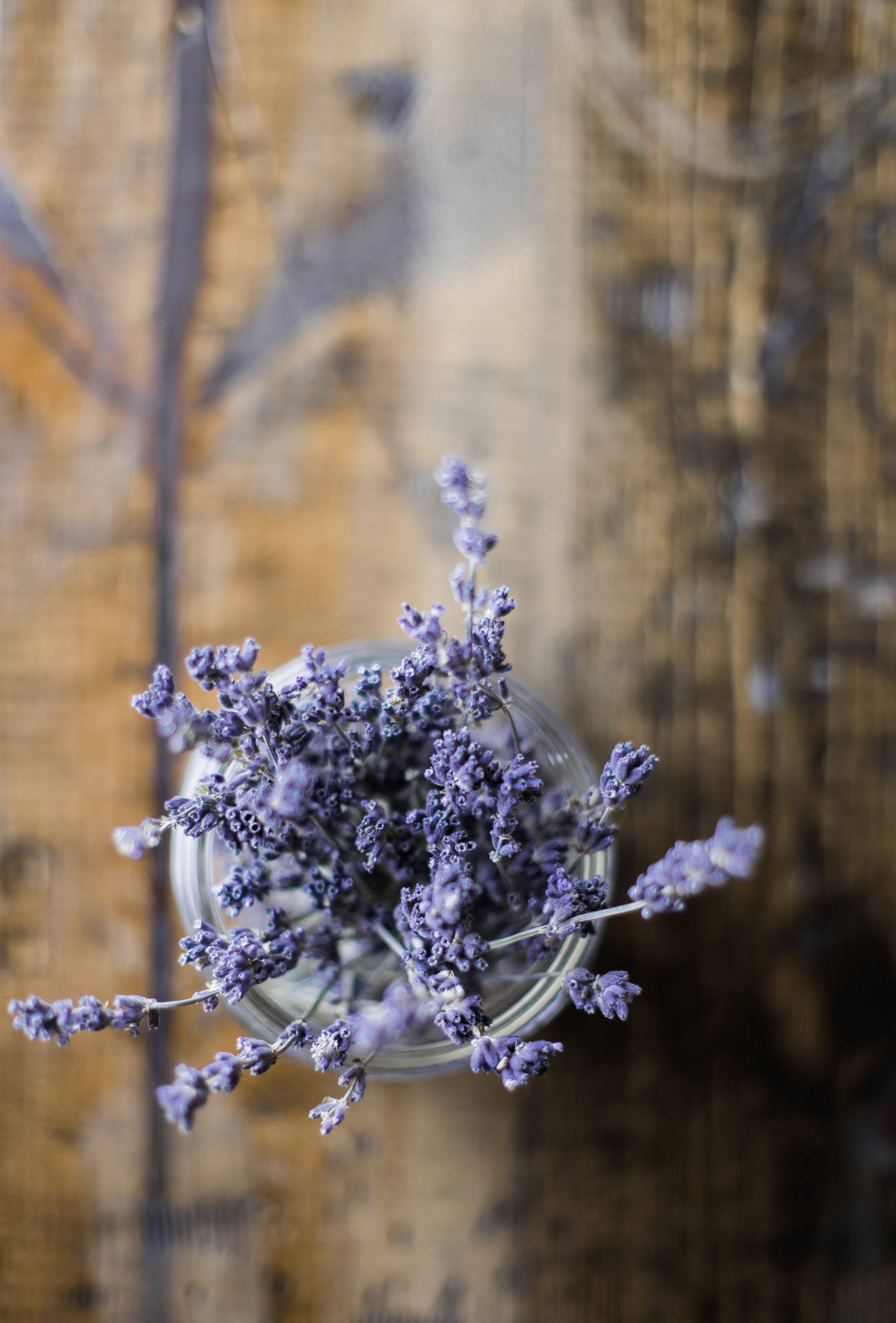 4368X6444 Lavender Wallpaper and Background