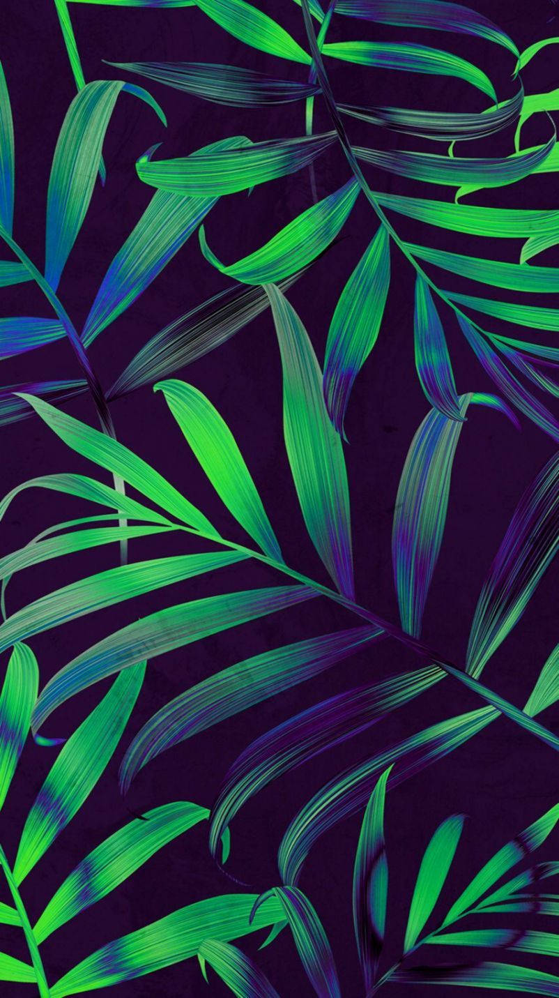 802X1431 Leaf Wallpaper and Background